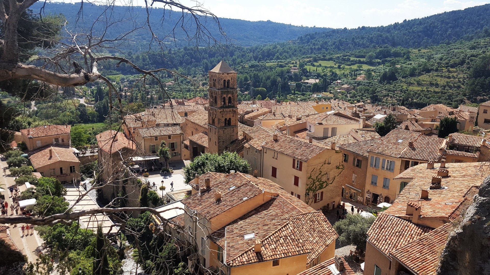 Provence: como visitar os campos de lavanda  com crianças - 40