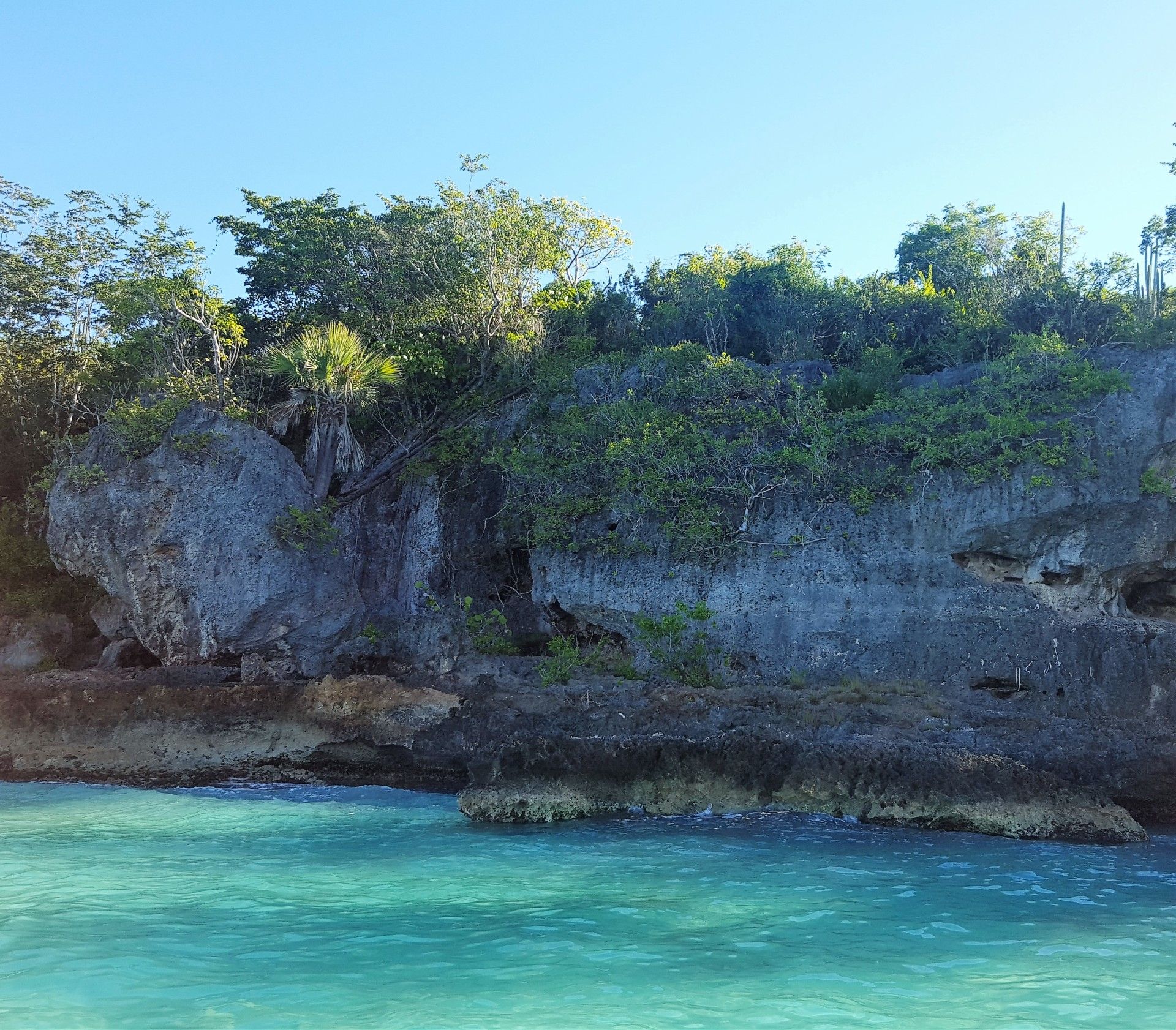 Isla Saona: como é esse passeio oferecido em Punta Cana - 13