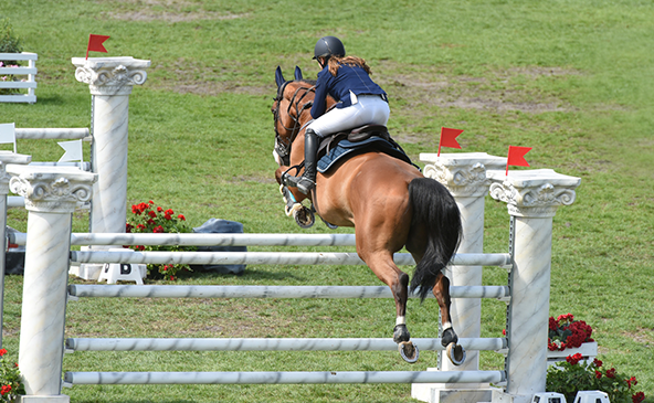 Copa Rio Preto de Hipismo movimenta a região com 400 competidores /copa-rio-preto-de-hipismo-movimenta-a-regiao-com-400-competidores