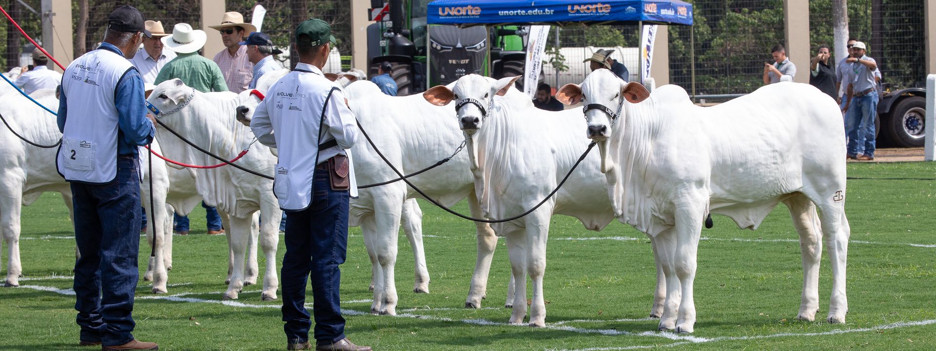 Expo Rio Preto movimenta 11 milhões em 5 dias /expo-rio-preto-movimenta-11-milhoes-em-5-dias