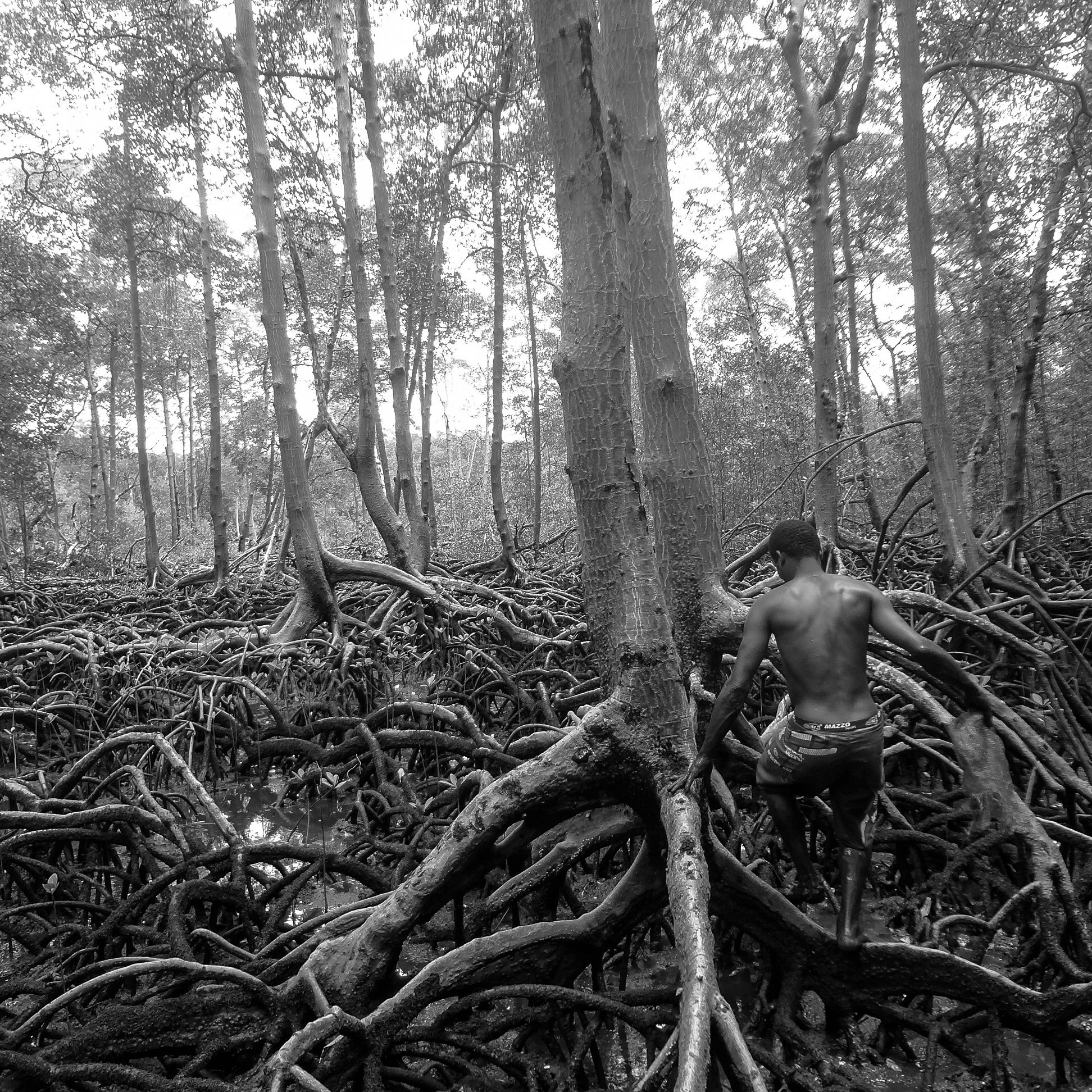 Fotos Aceitas e Premiadas - 3 - 6