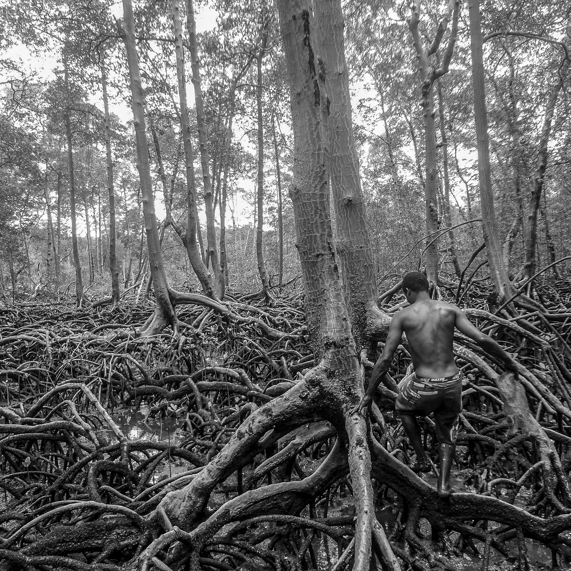 Fotos Aceitas e Premiadas - 2 - 10