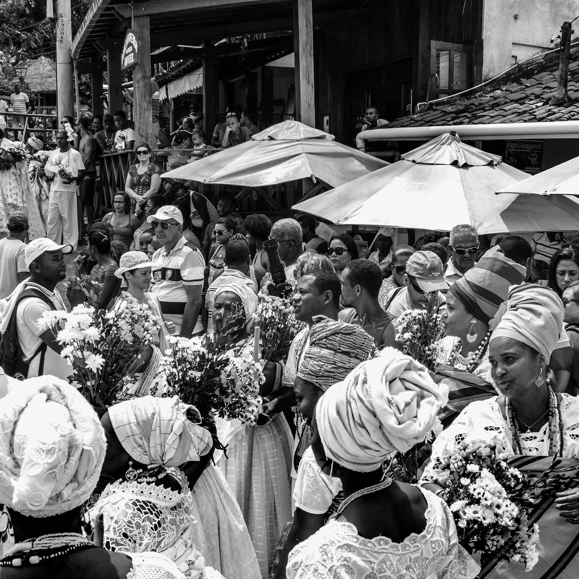 Fotos Aceitas e Premiadas - 3 - 7