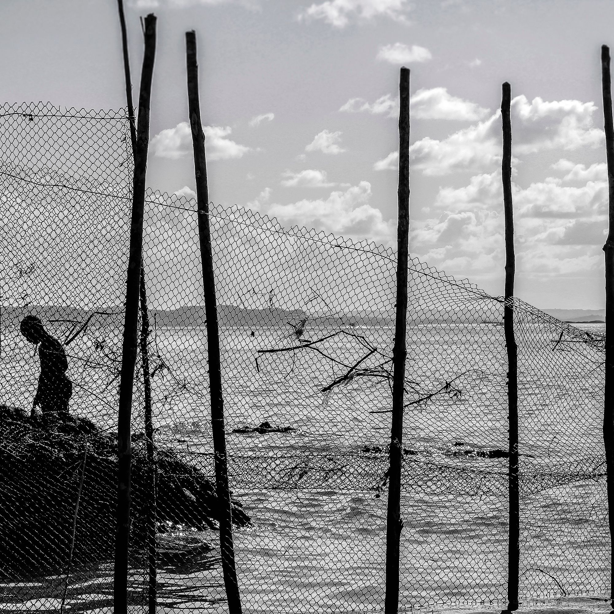 Fotos Aceitas e Premiadas - 2 - 13