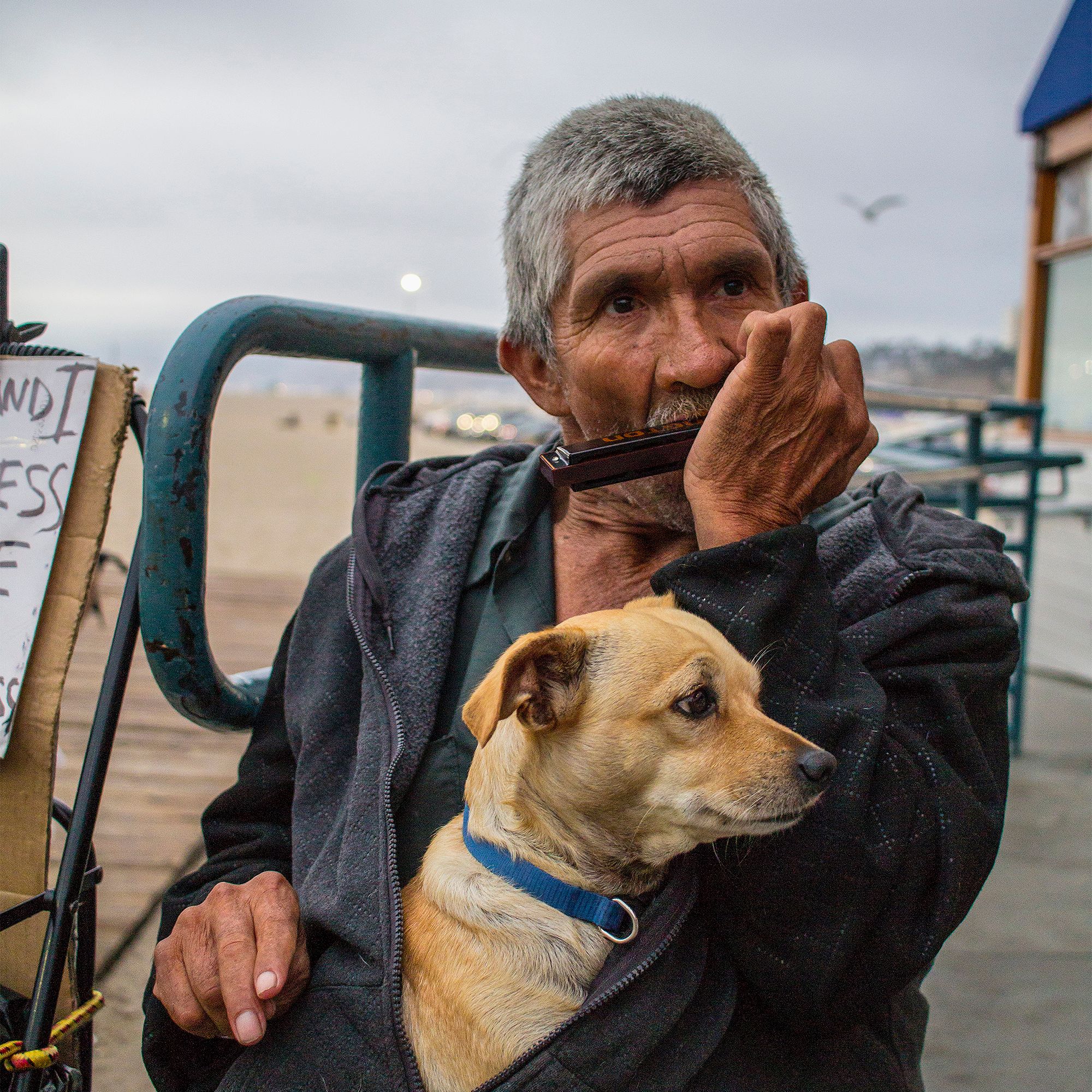 Fotos Aceitas e Premiadas - 2 - 7