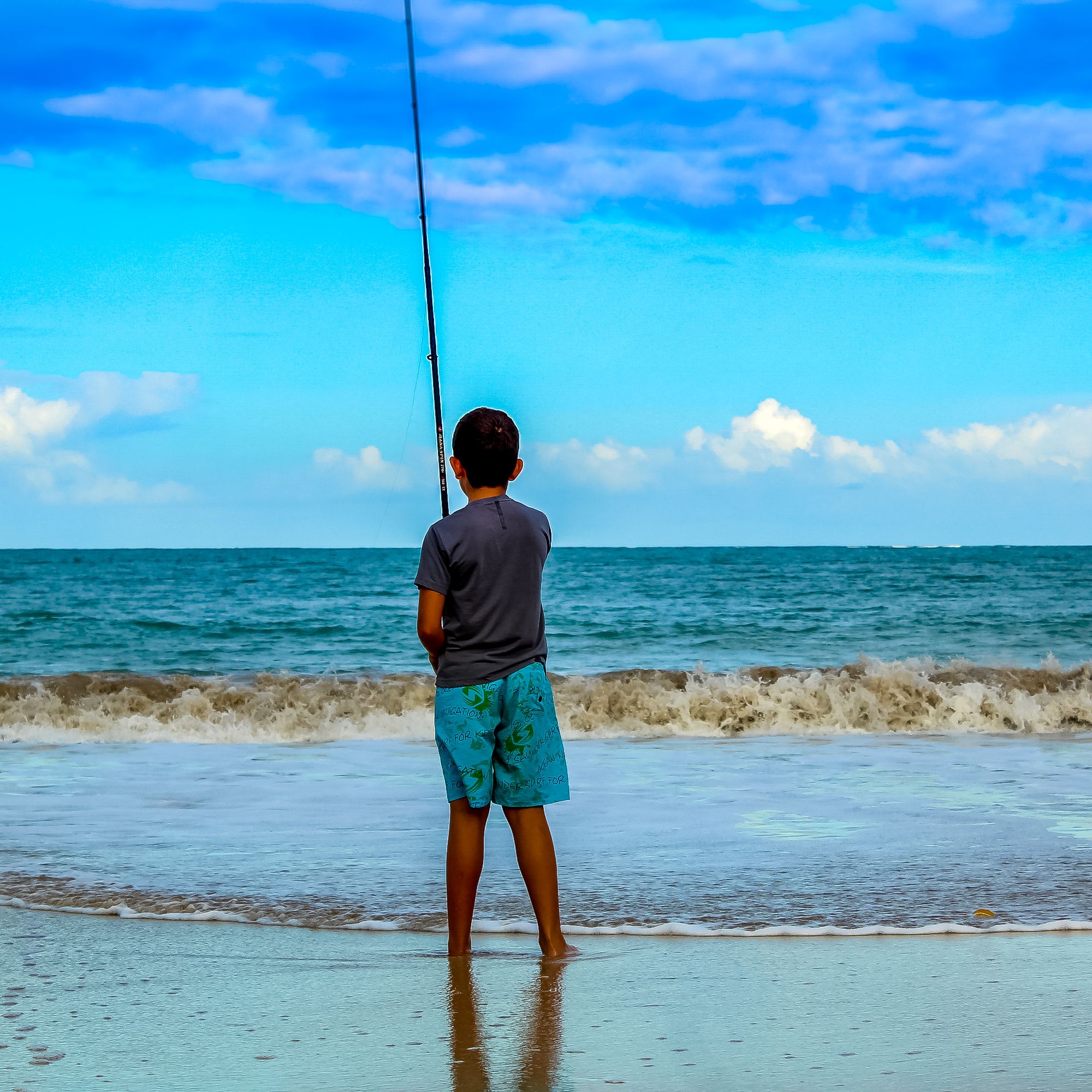 Fotos Aceitas e Premiadas - 2 - 1