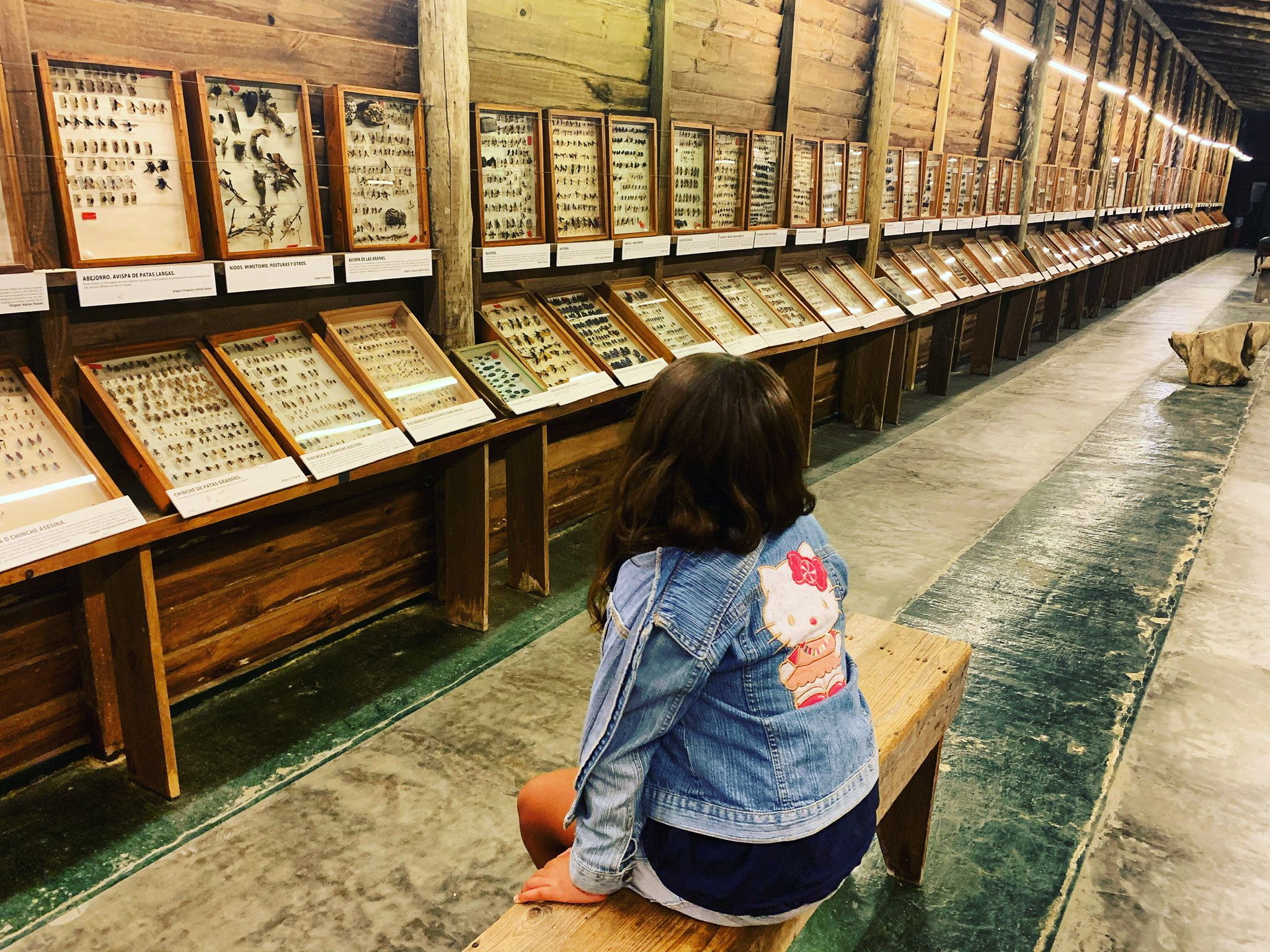 O que fazer em Punta del Este com crianças - 29