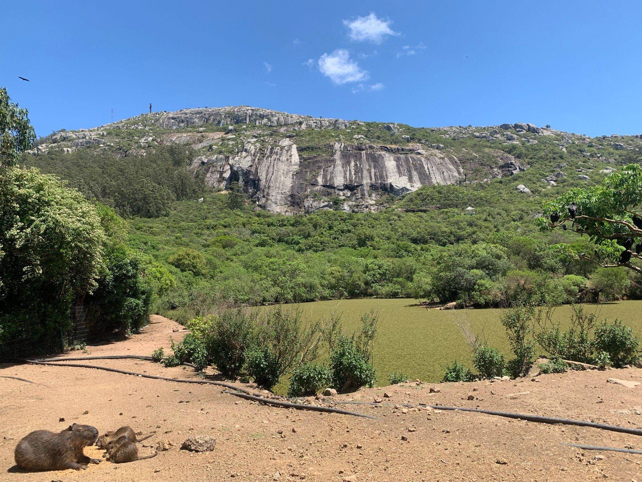 O que fazer em Piriápolis no Uruguai - 34