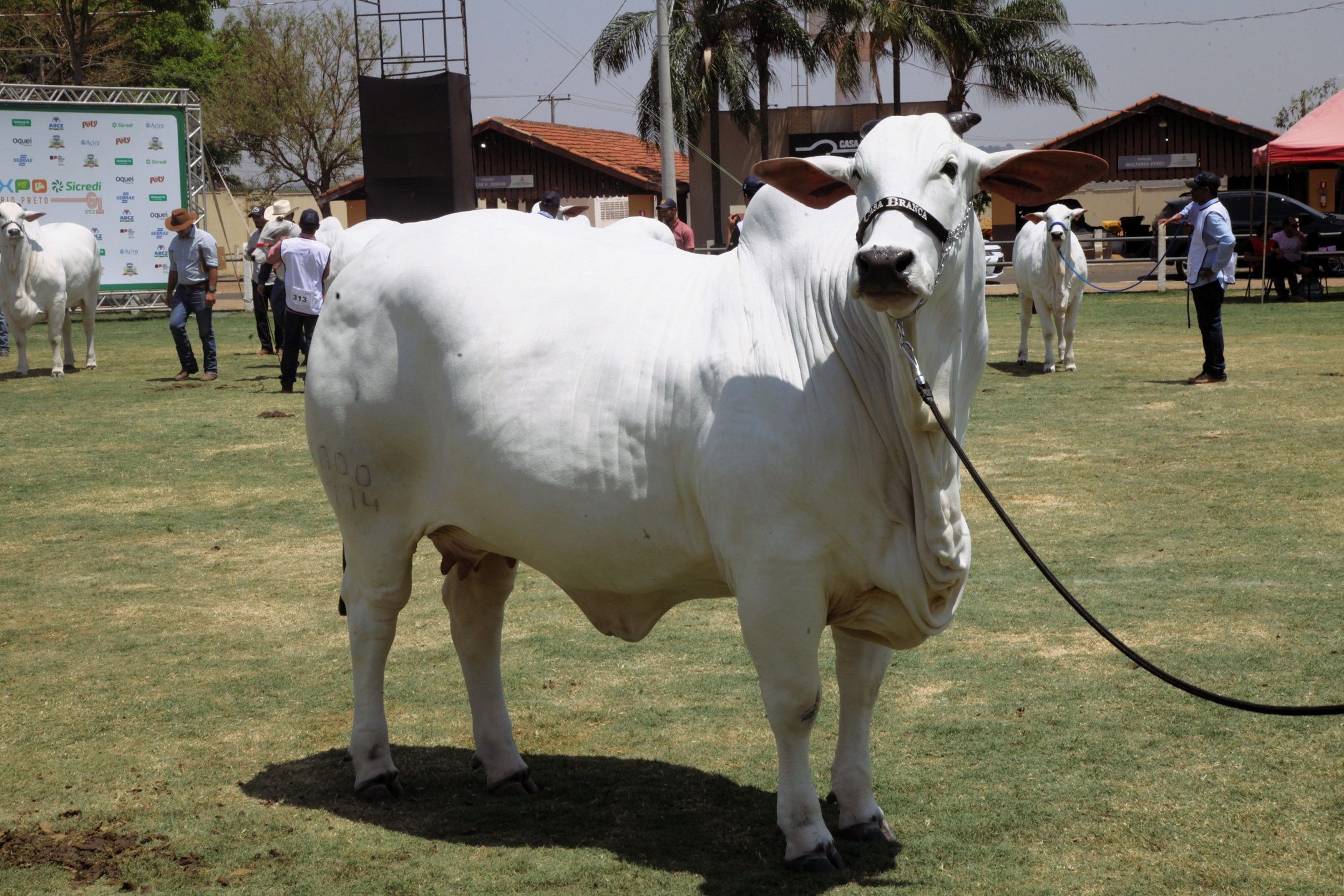 Expo Rio Preto movimenta 22,8 mi em negócios - 2