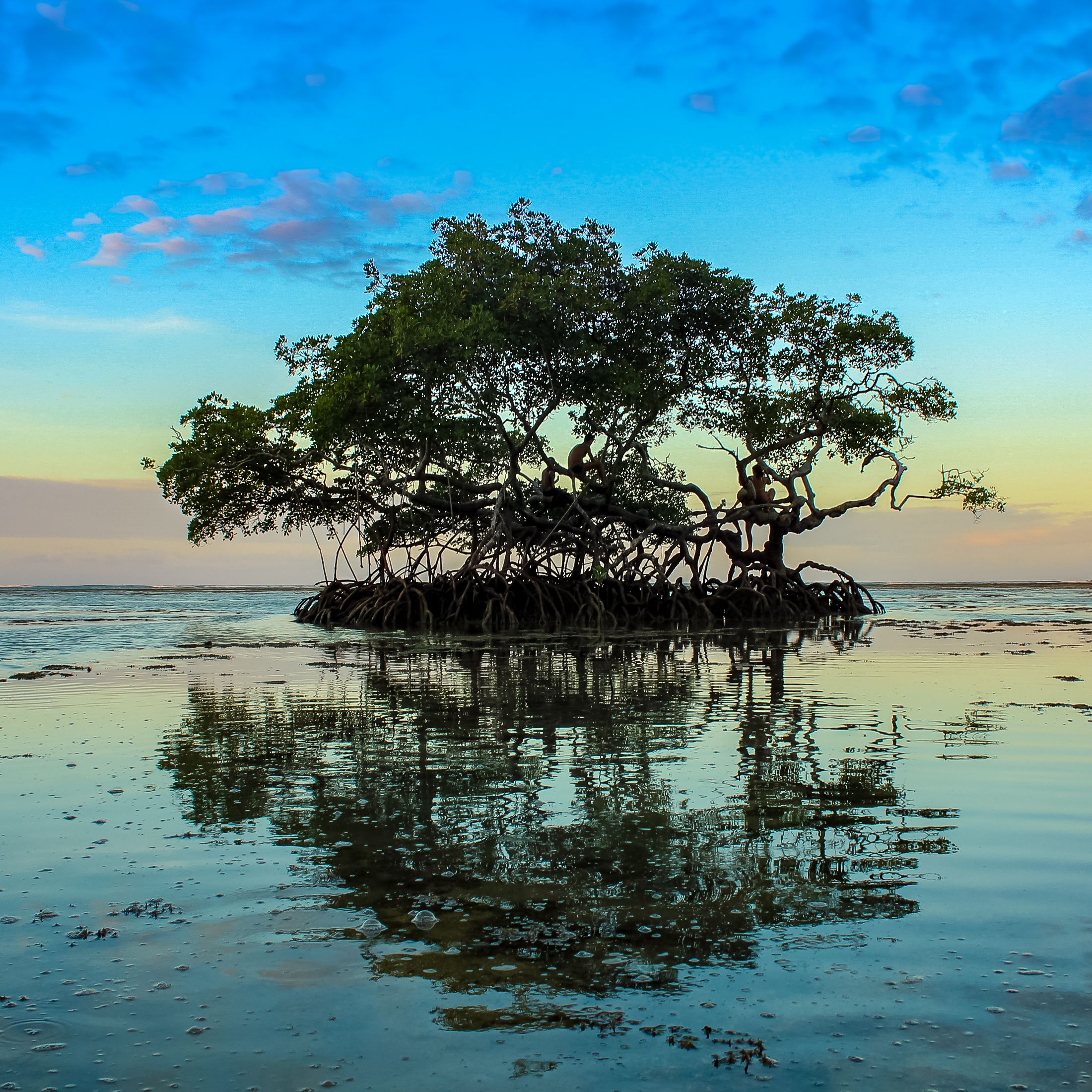 Fotos Aceitas e Premiadas - 3 - 12