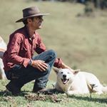 imagem de perfil do instagram