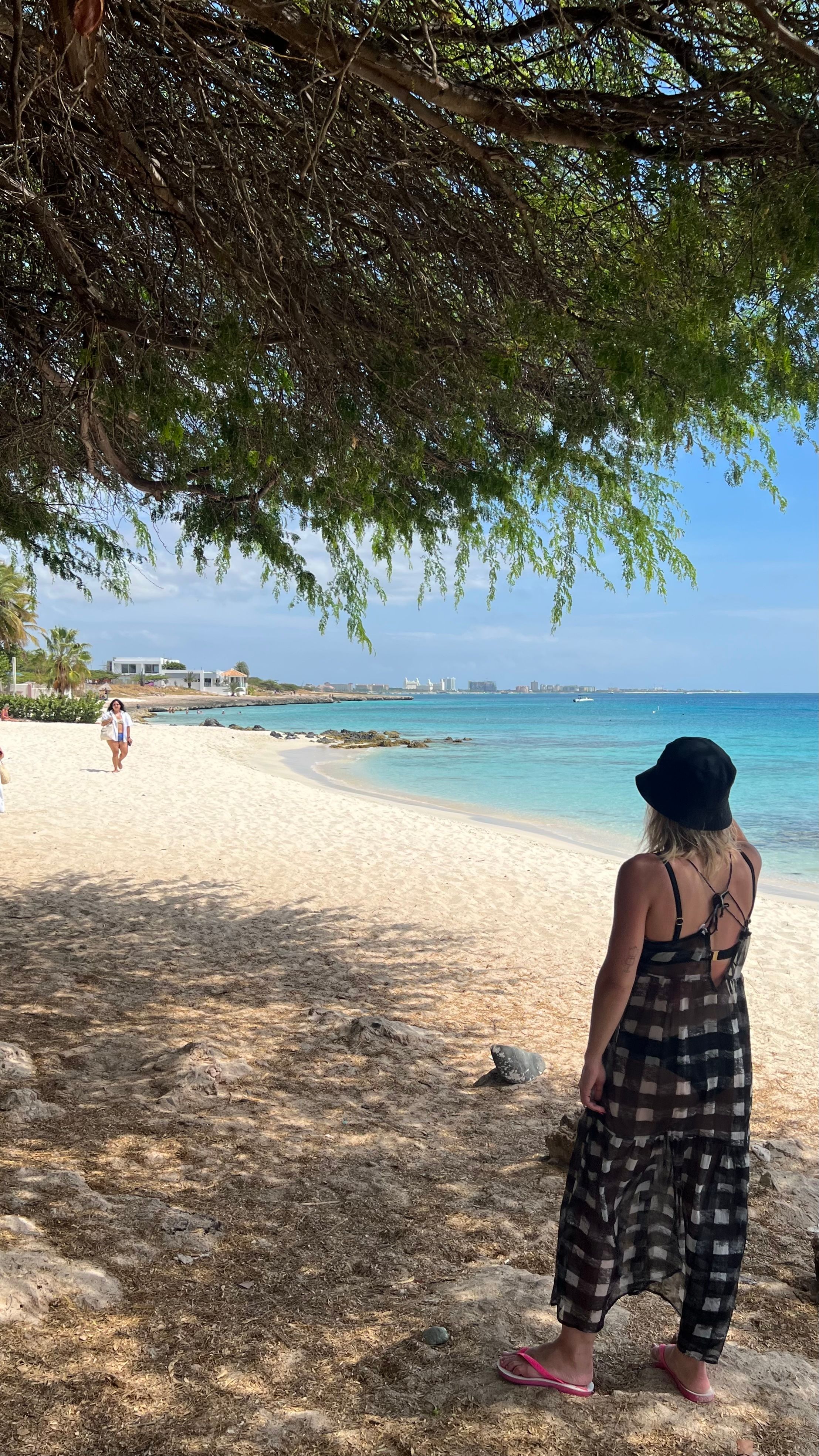 Tudo o que você precisa saber antes de viajar para Aruba - 5