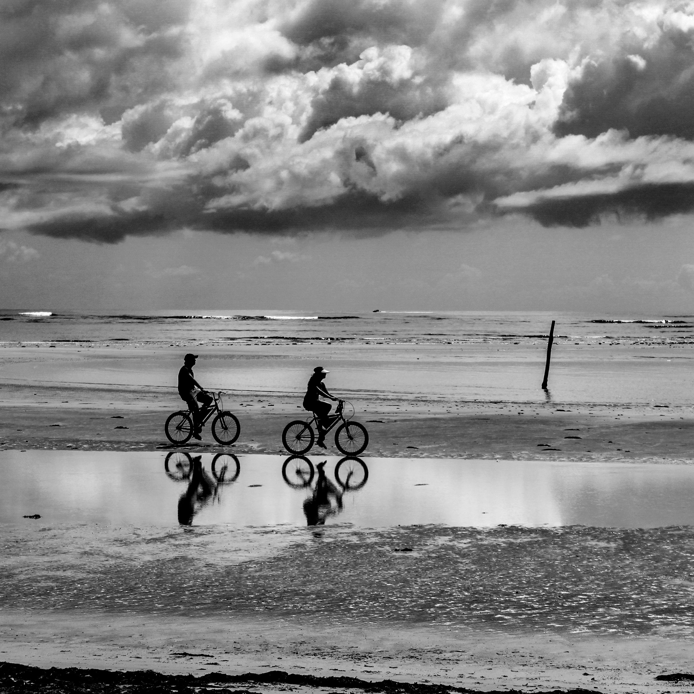 Fotos Aceitas e Premiadas - 3 - 20