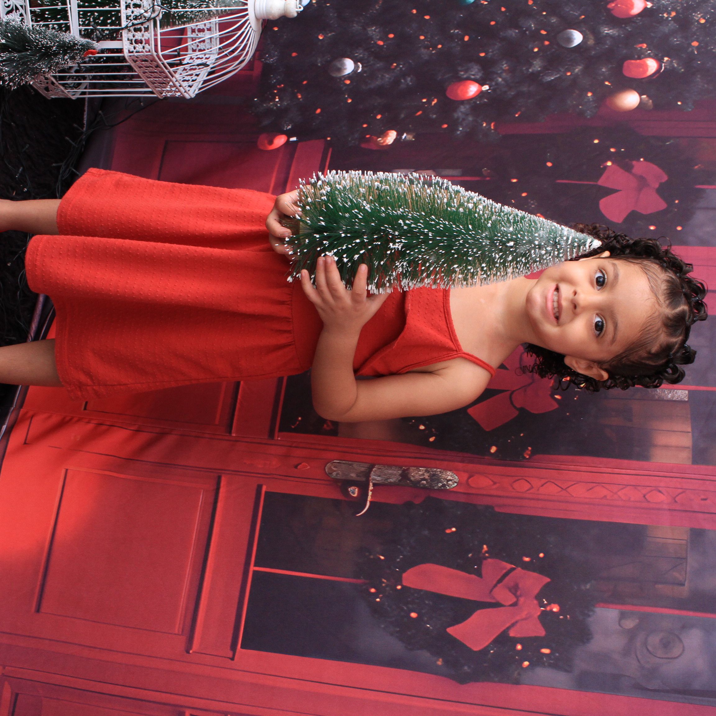 Ensaio de Natal (eternizando momentos) - 2 - 13