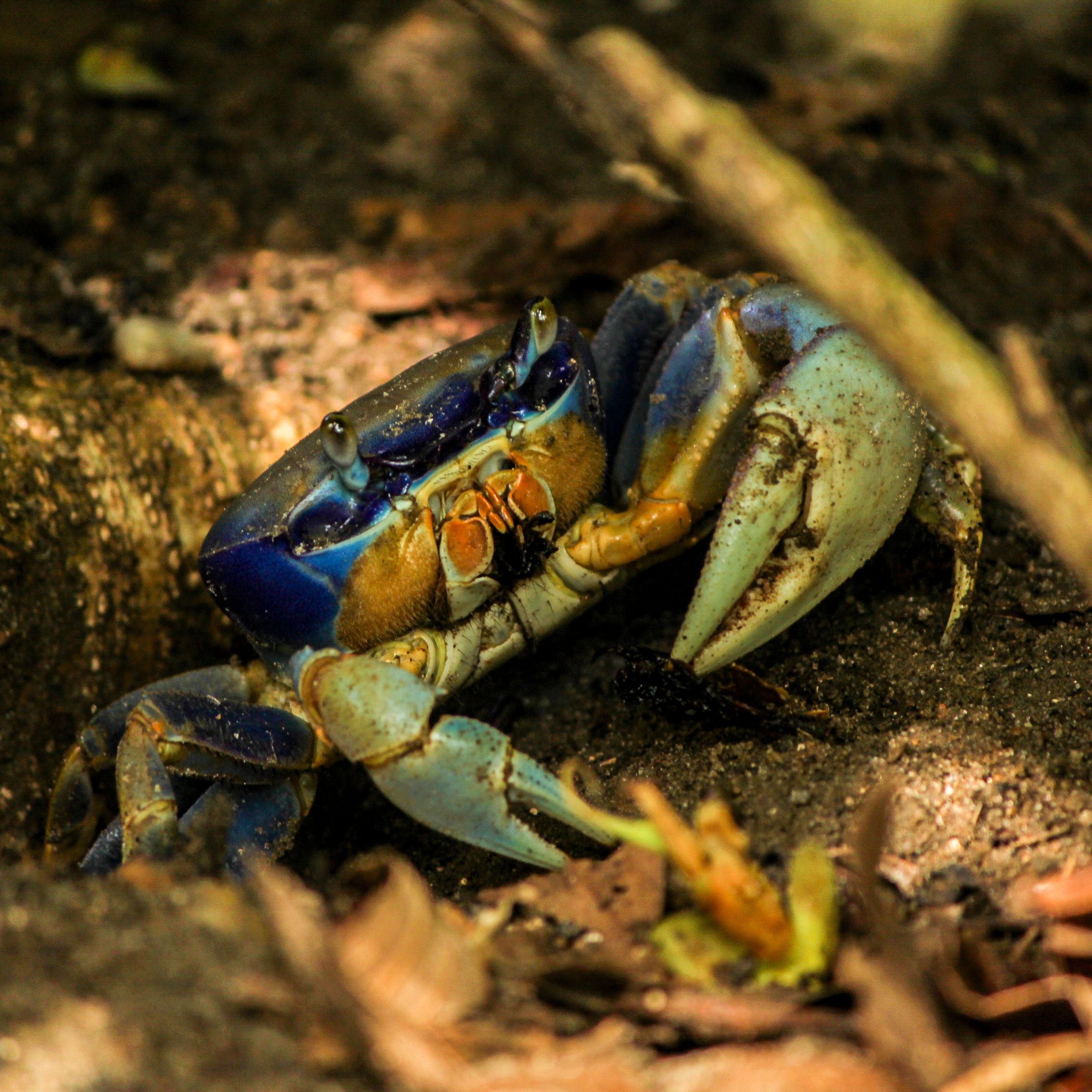 Fotos Aceitas e Premiadas - 3 - 22