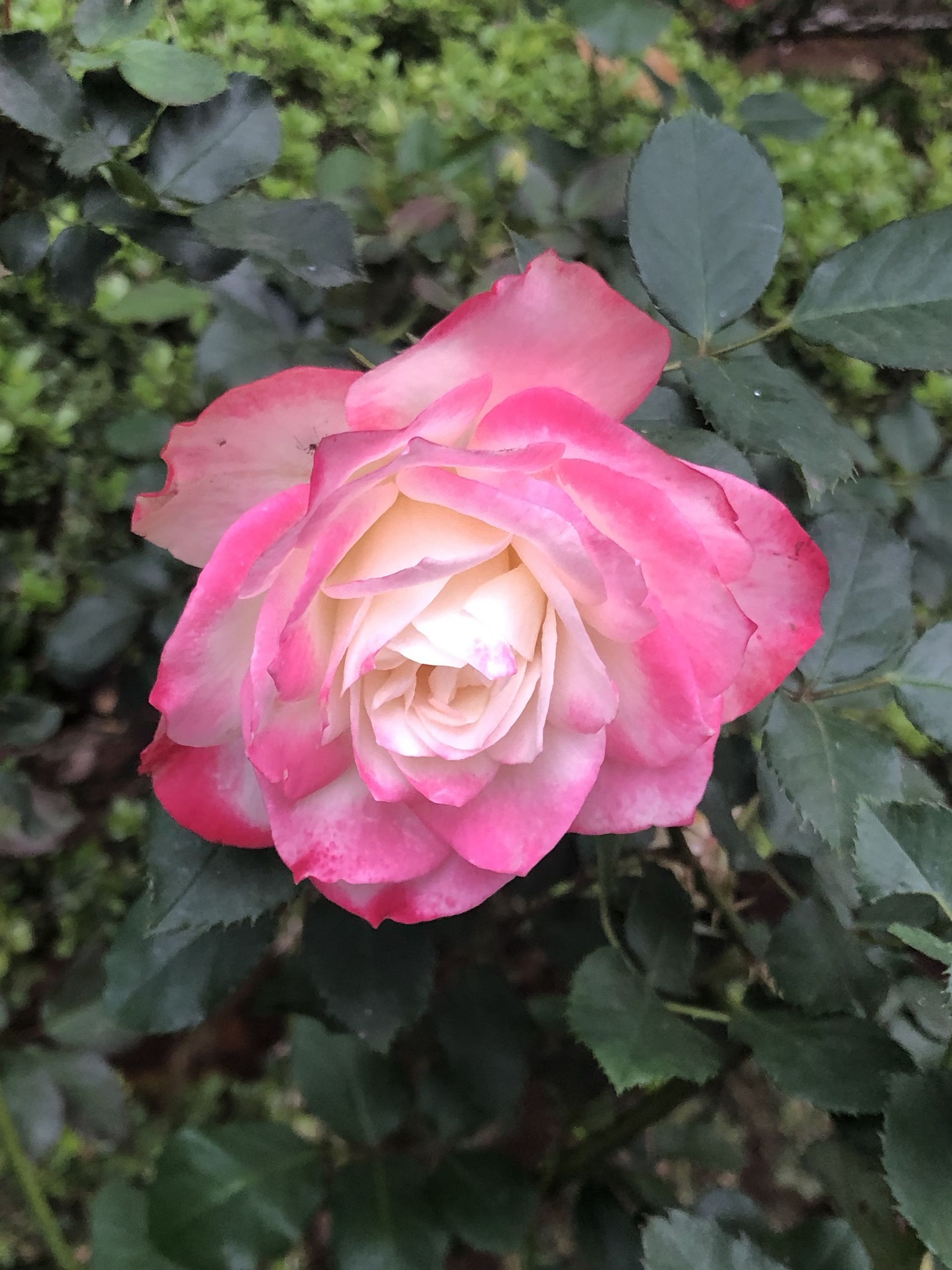 Tours September 2019 - 2 - 22