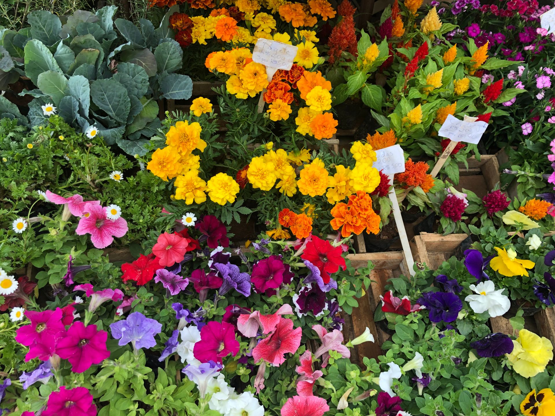 Tours August 2019 - 2 - 5