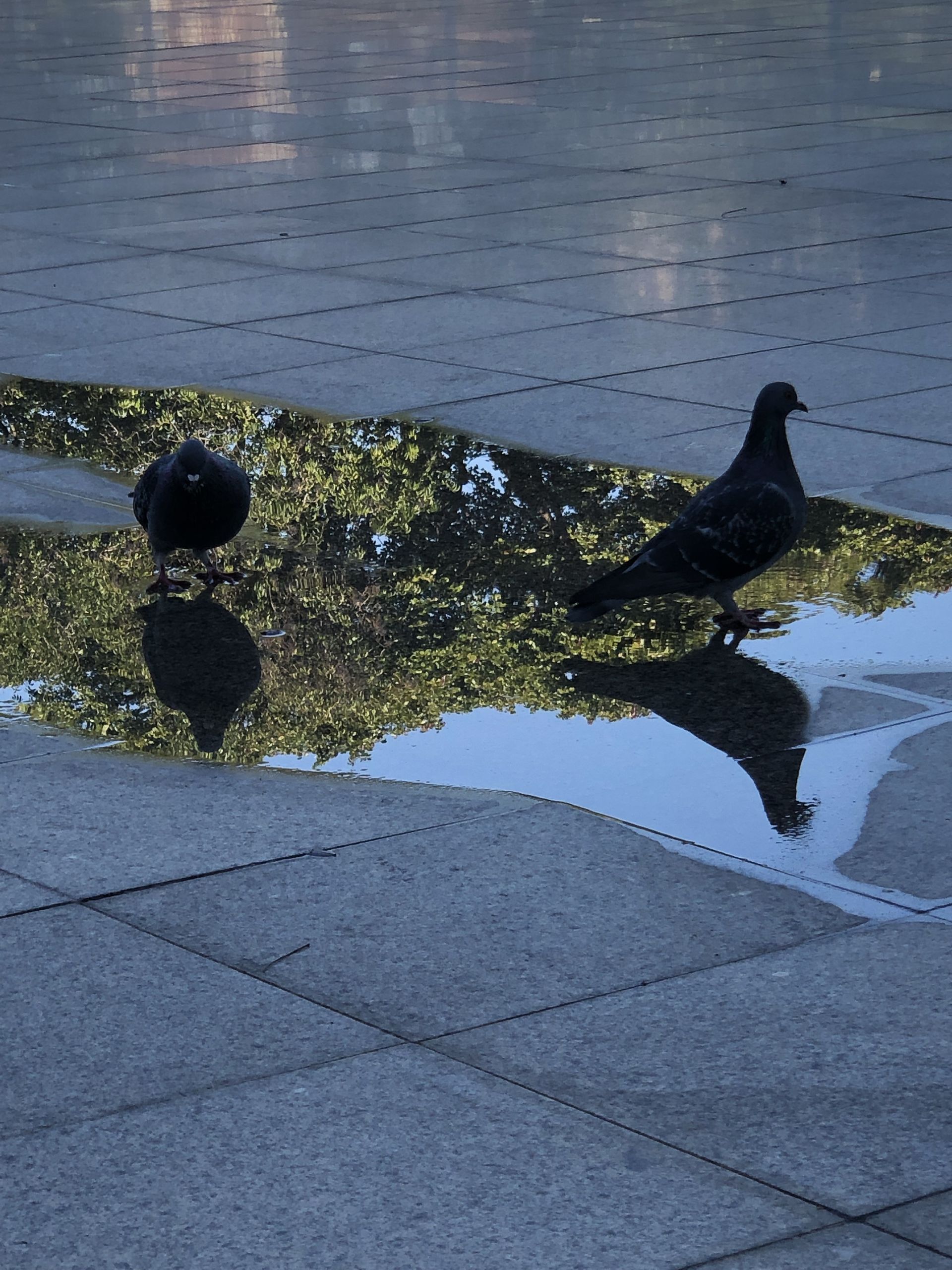 Tours August 2019 - 2 - 55