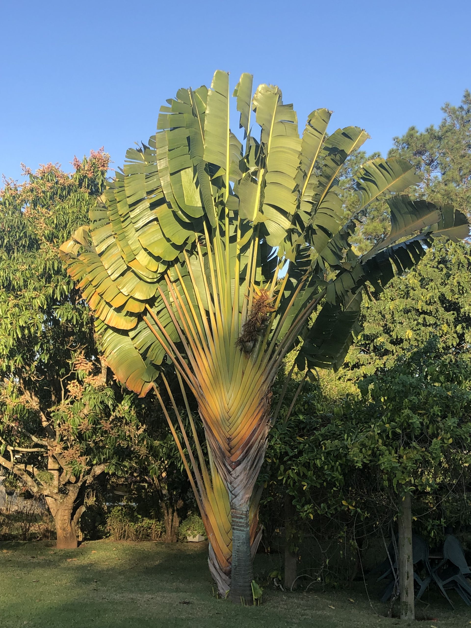 Tours July 2019 - 2 - 6