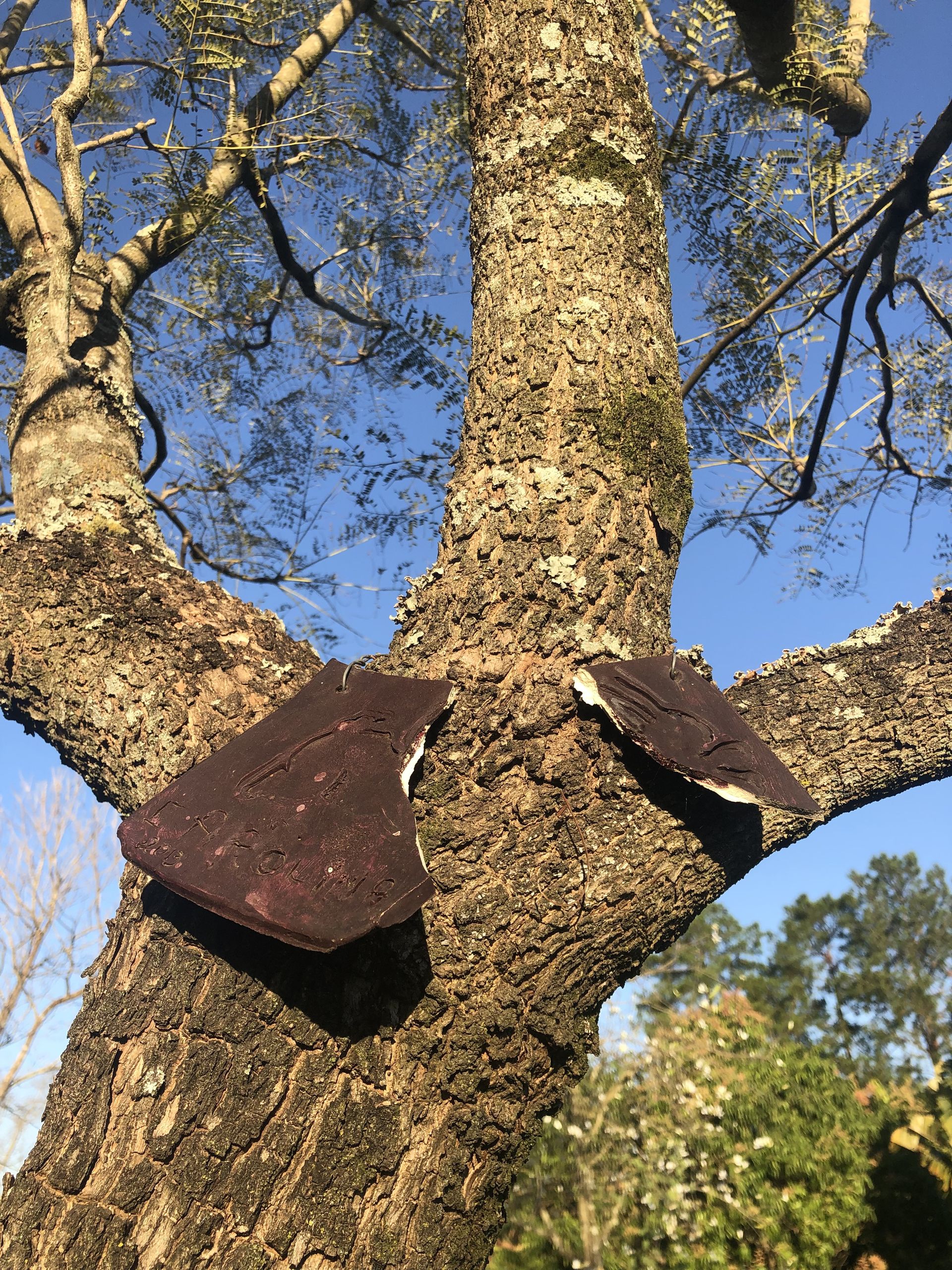 Tours July 2019 - 2 - 8