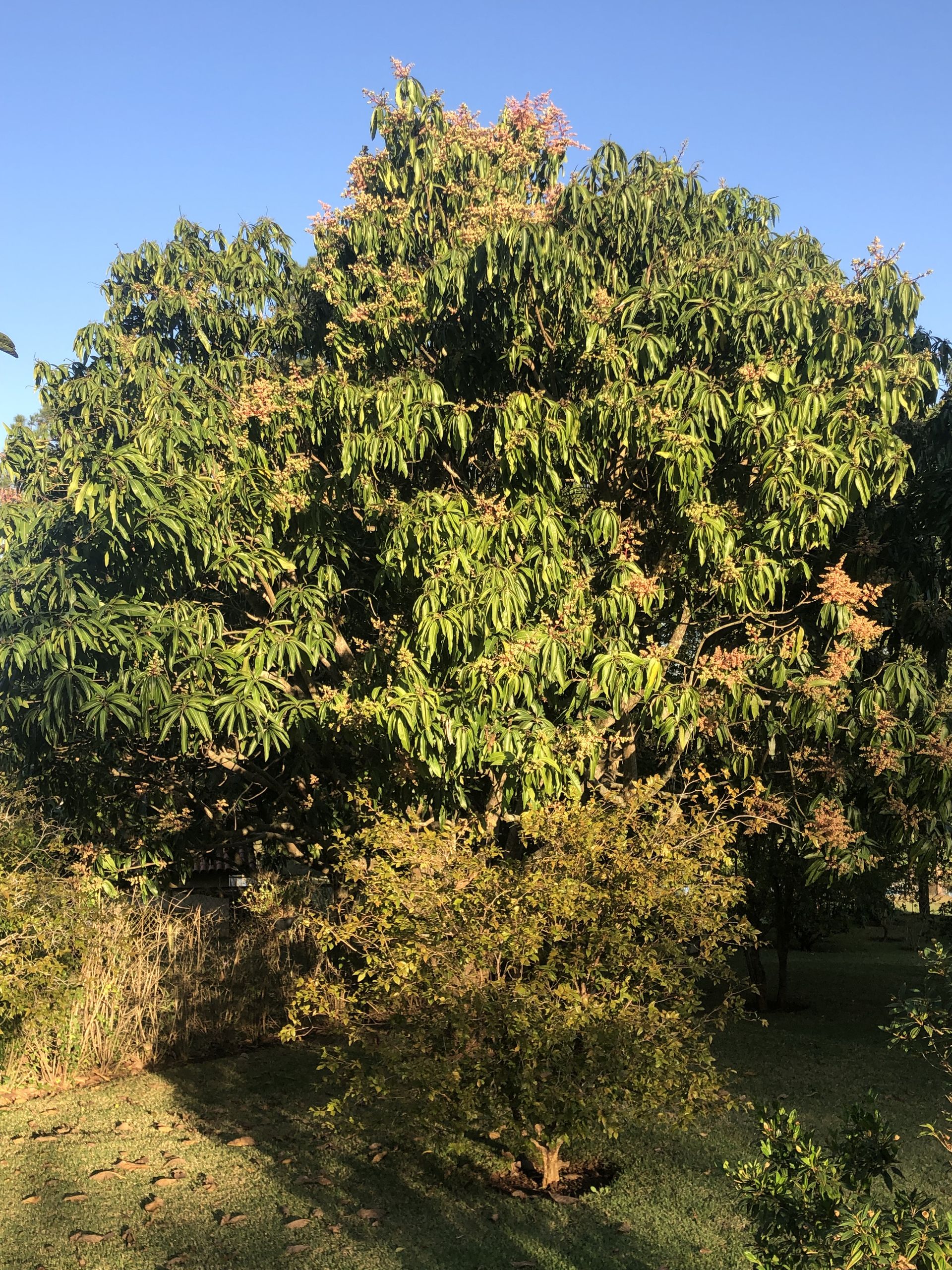 Tours July 2019 - 2 - 9