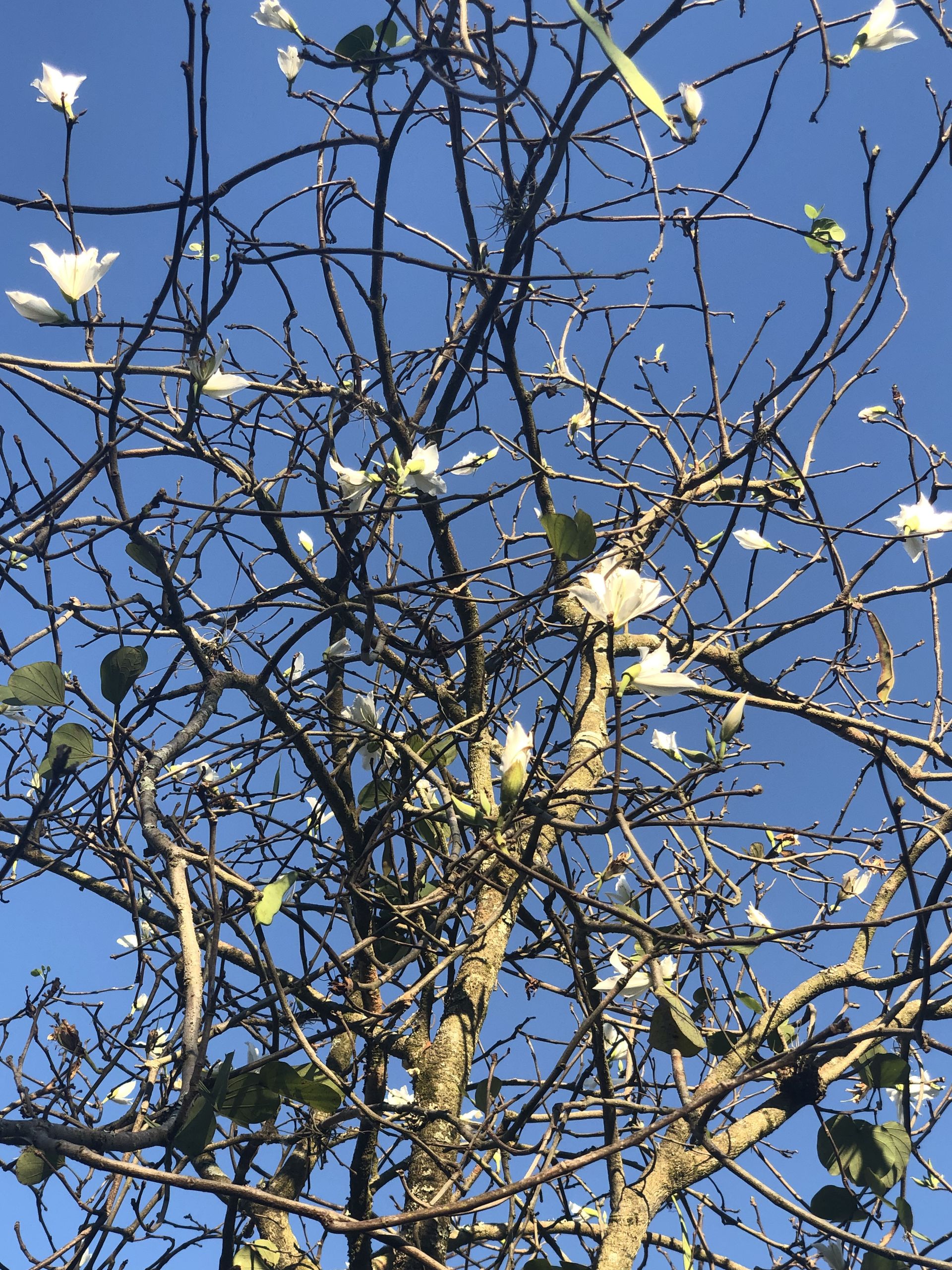 Tours July 2019 - 2 - 10