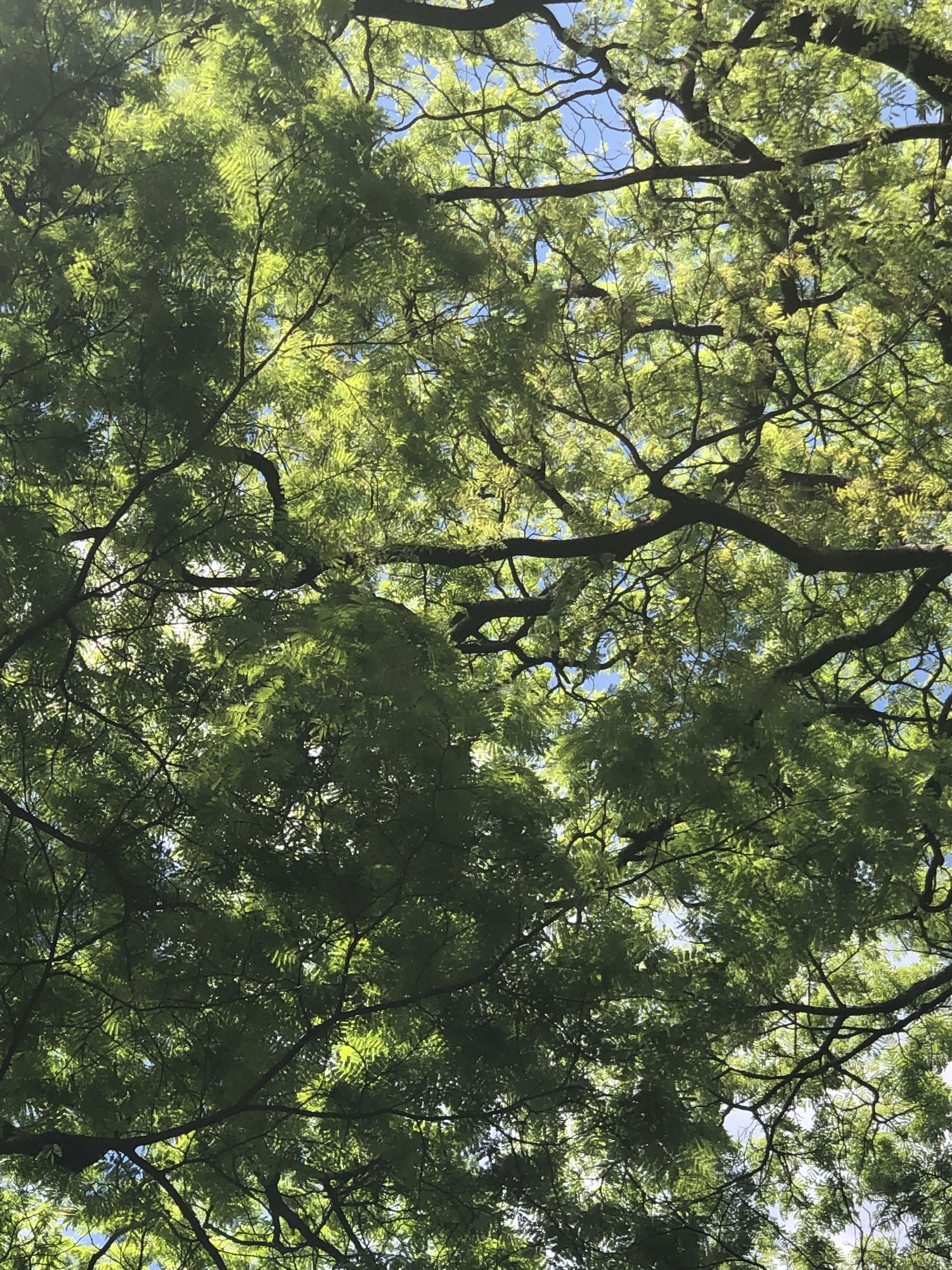 Tours July 2019 - 2 - 12