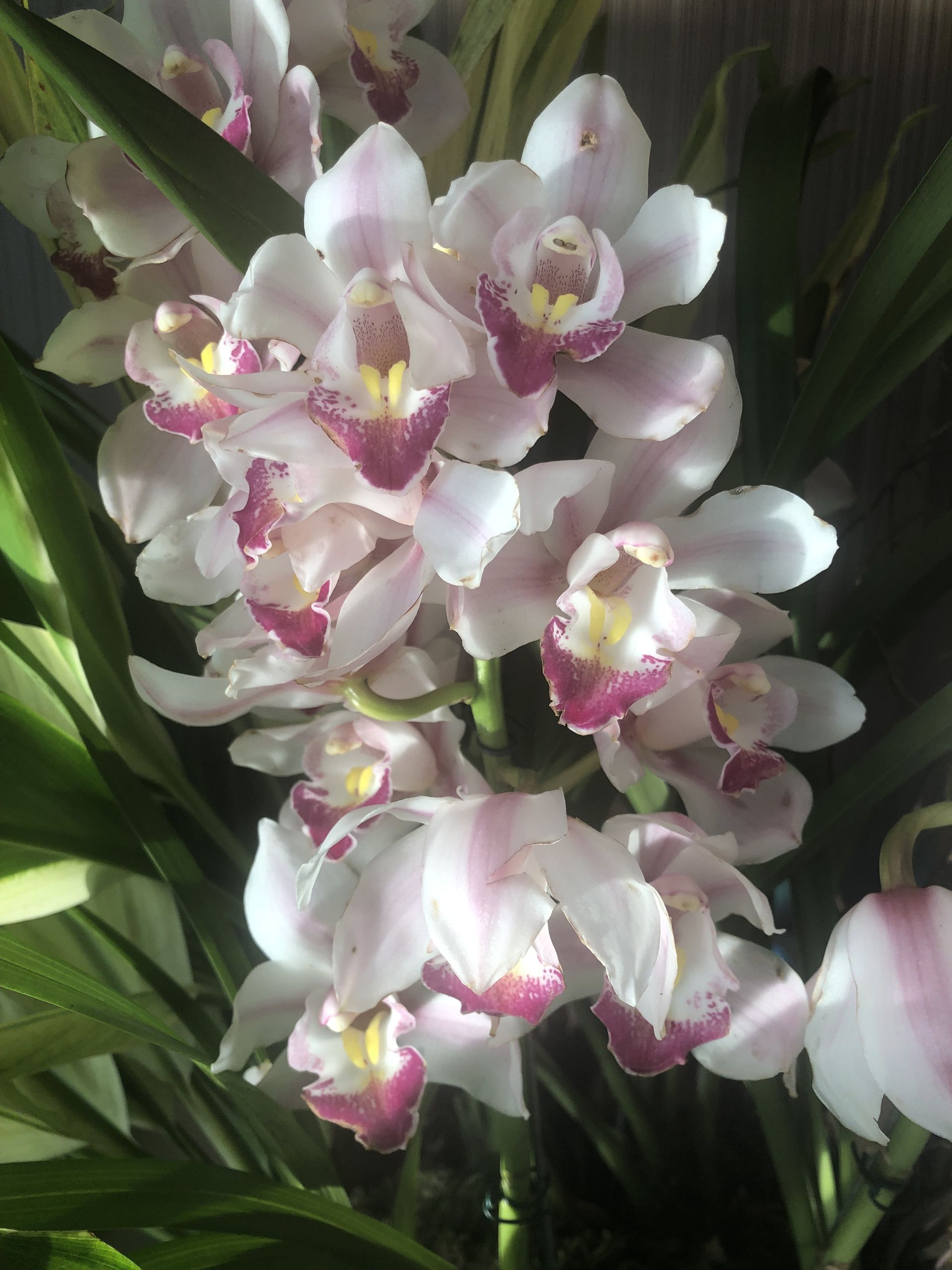 Tours July 2019 - 2 - 13