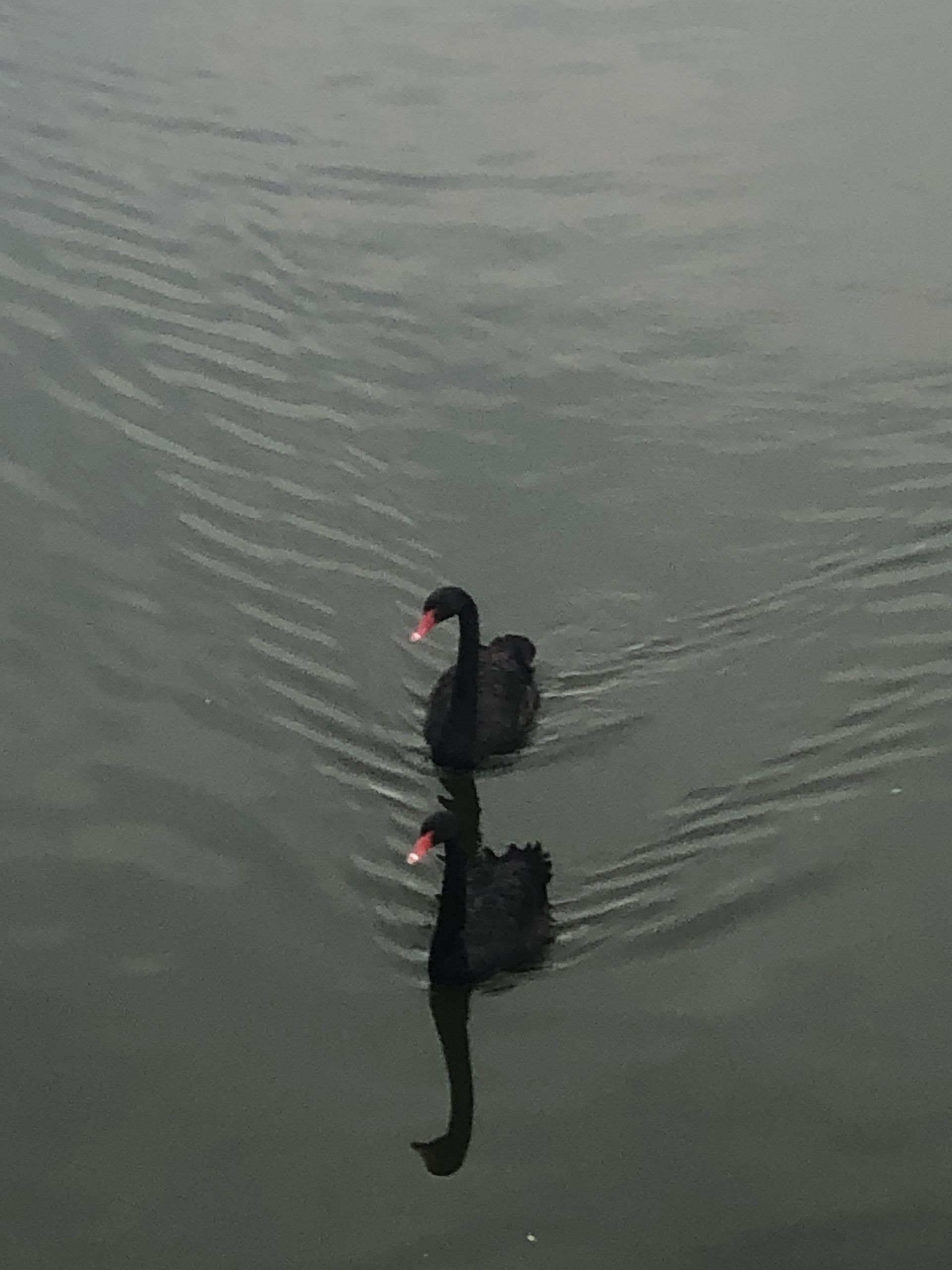 Tours July 2019 - 2 - 14