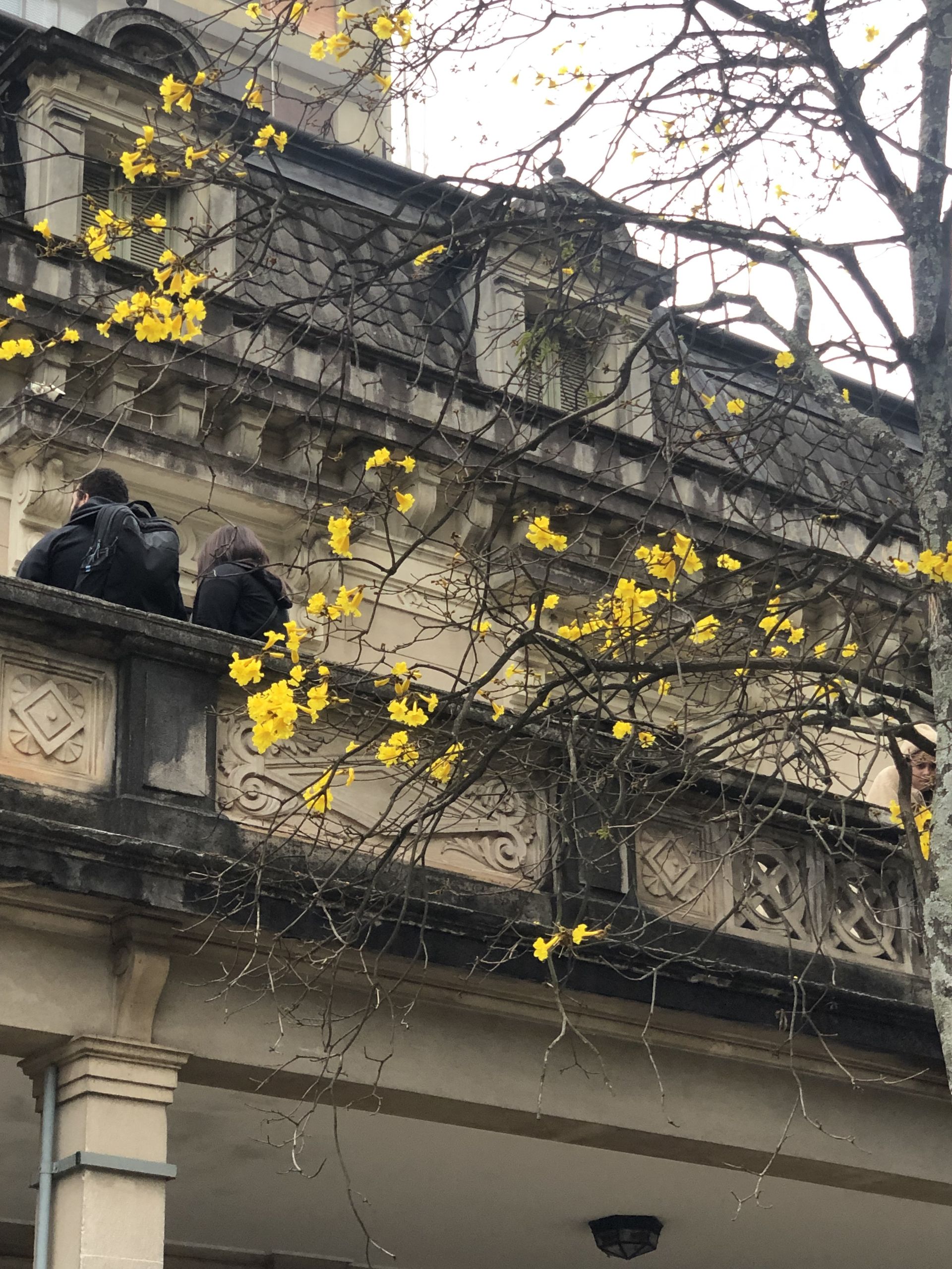 Casa das Rosas - São Paulo - 3 - 0