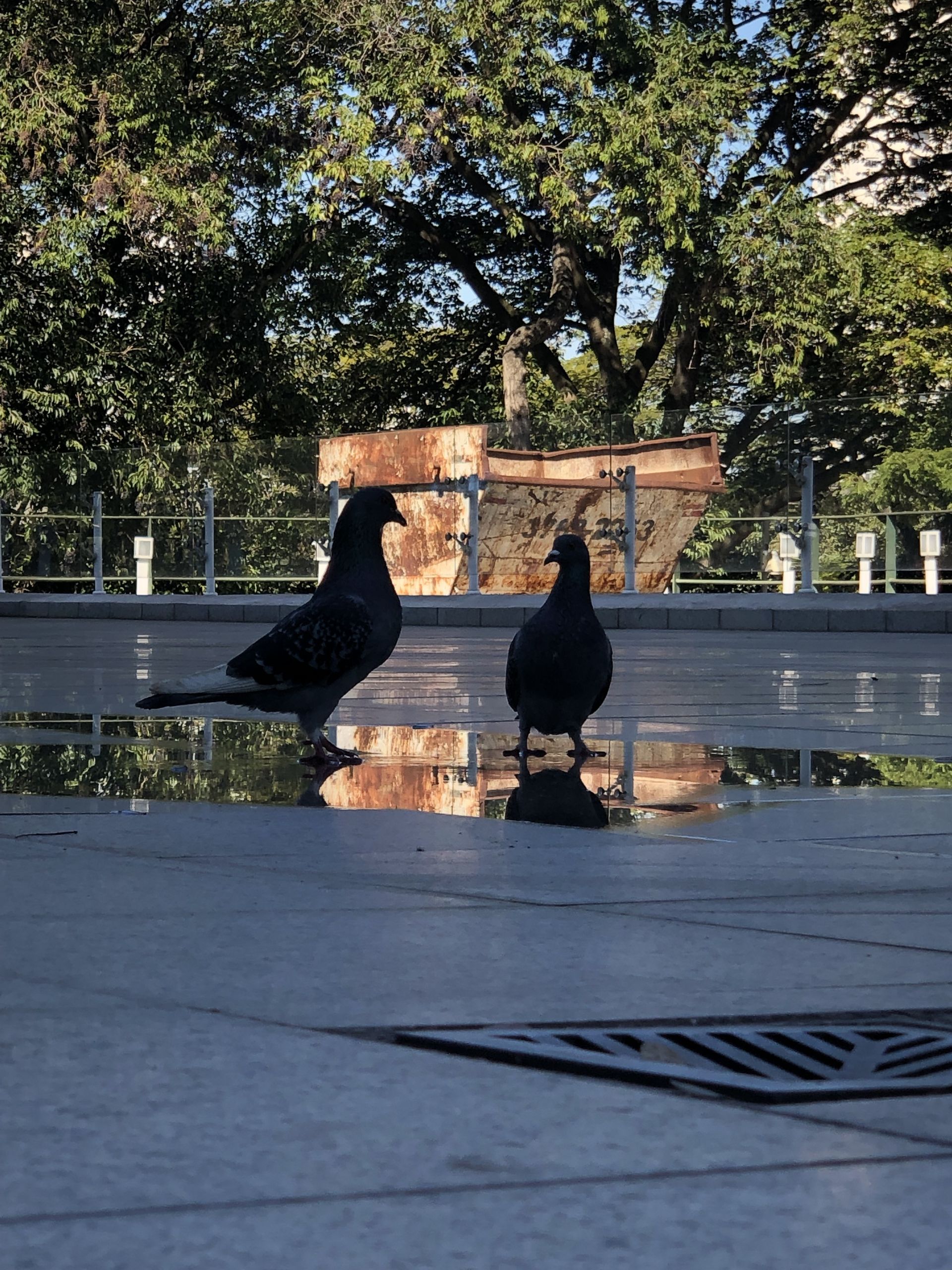 Oscar Niemeyer Architecture - São Paulo - 5 - 4