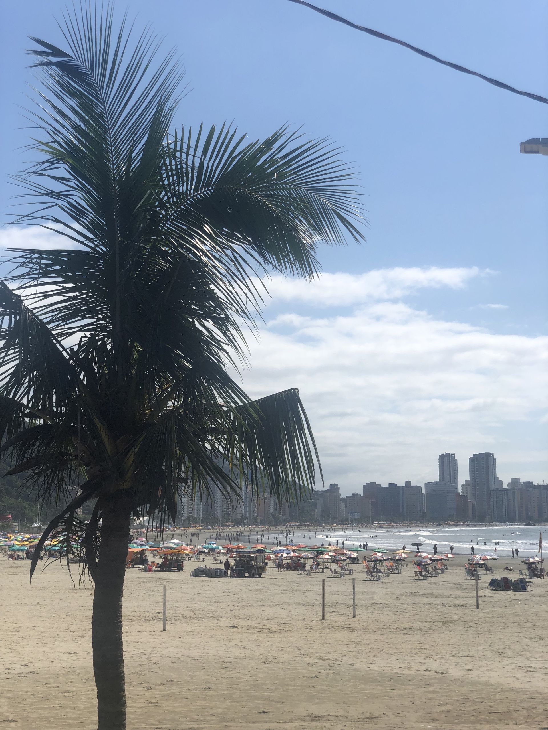 Beachtour - São Vicente, Santos and Guarujá - 14 - 3