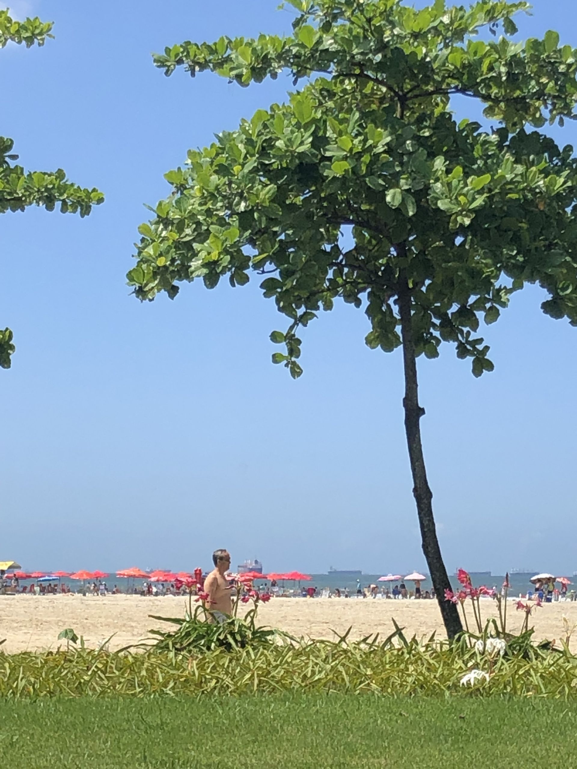 Beachtour - São Vicente, Santos and Guarujá - 16 - 0