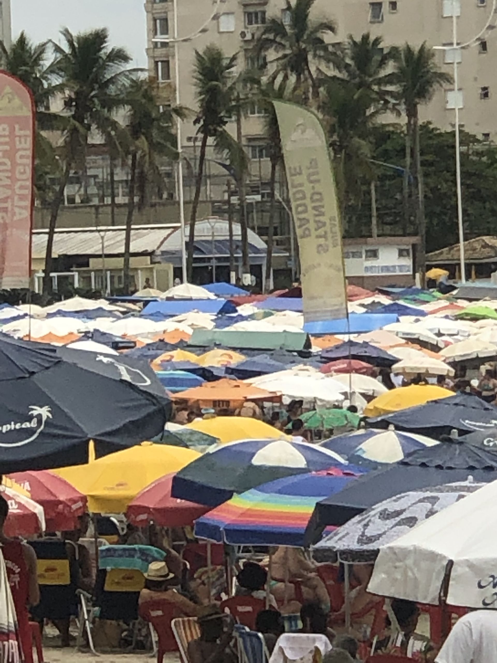 Beachtour - São Vicente, Santos and Guarujá - 18 - 5