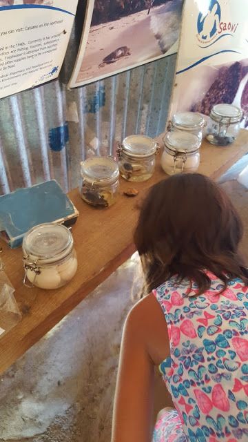 Punta Cana, Bayahibe e Santo Domingo: nosso roteiro com as crianças pela República Dominicana! - 27 - 1