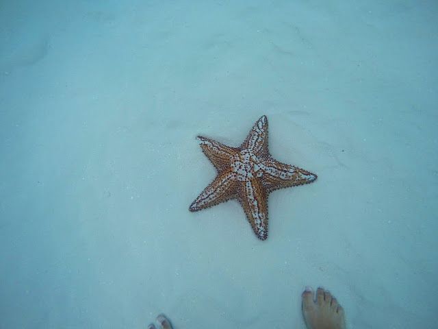 Punta Cana, Bayahibe e Santo Domingo: nosso roteiro com as crianças pela República Dominicana! - 29 - 2