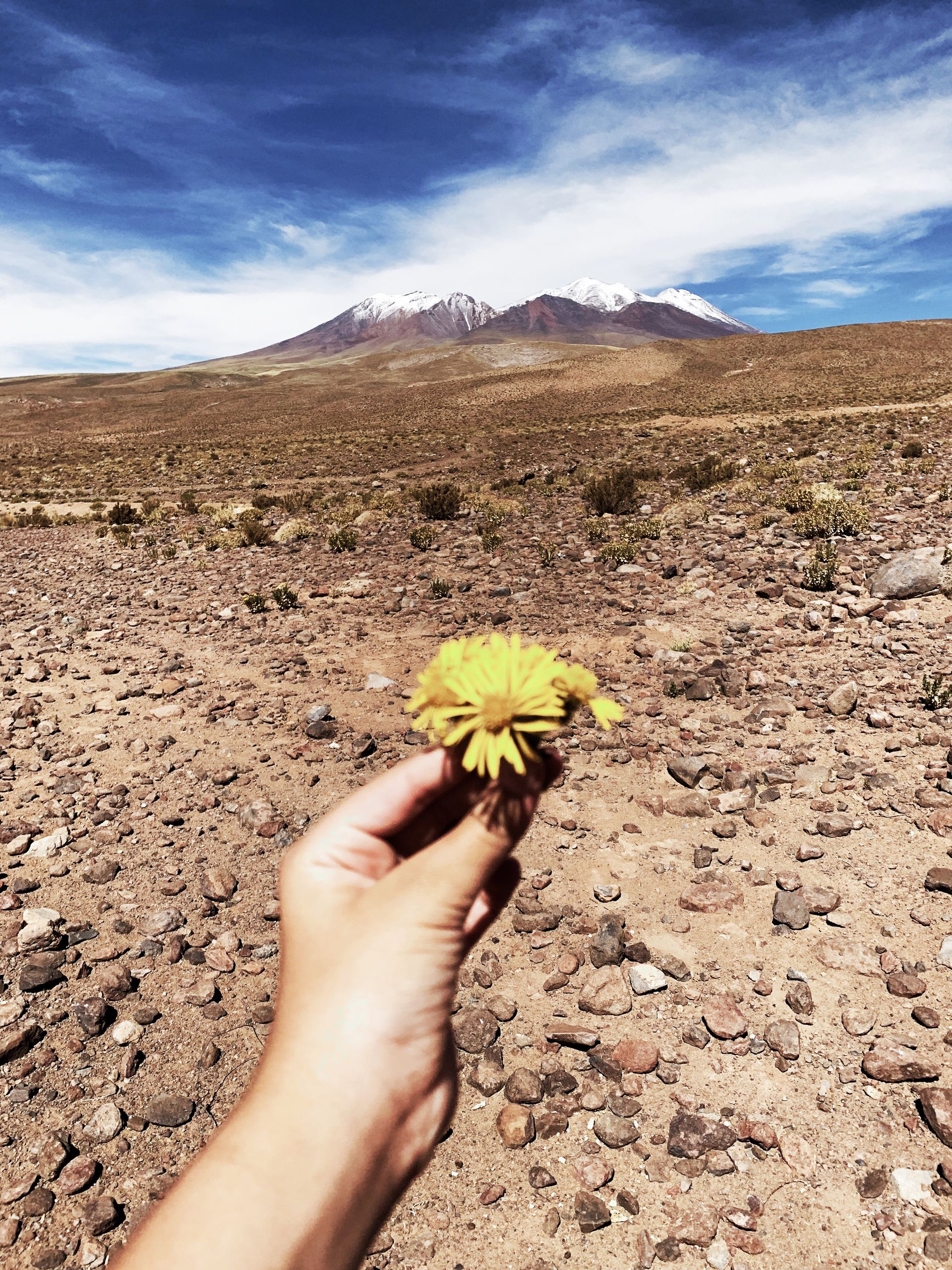 O que fazer no Deserto do Atacama com criança! - 1
