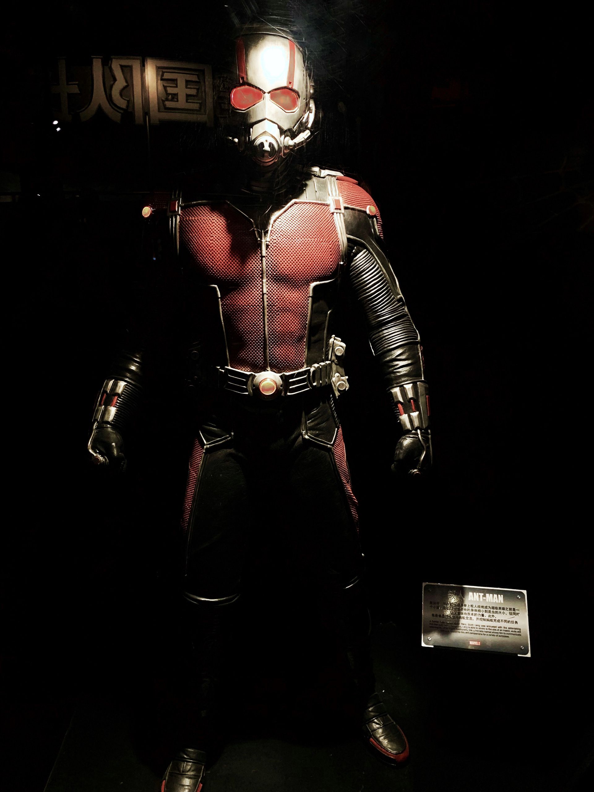 Top 10 atrações imperdíveis da Disney em Xangai - 30 - 1