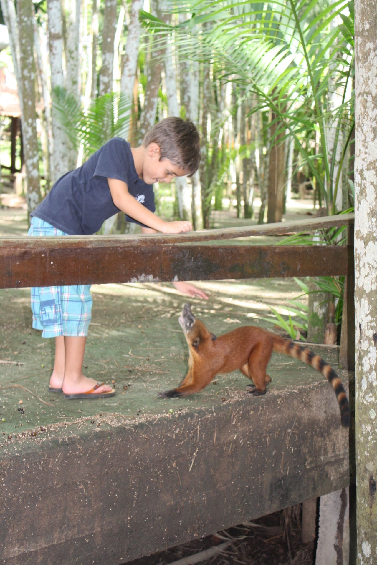 O que fazer em Macapá: a capital do meio do mundo - 61 - 2