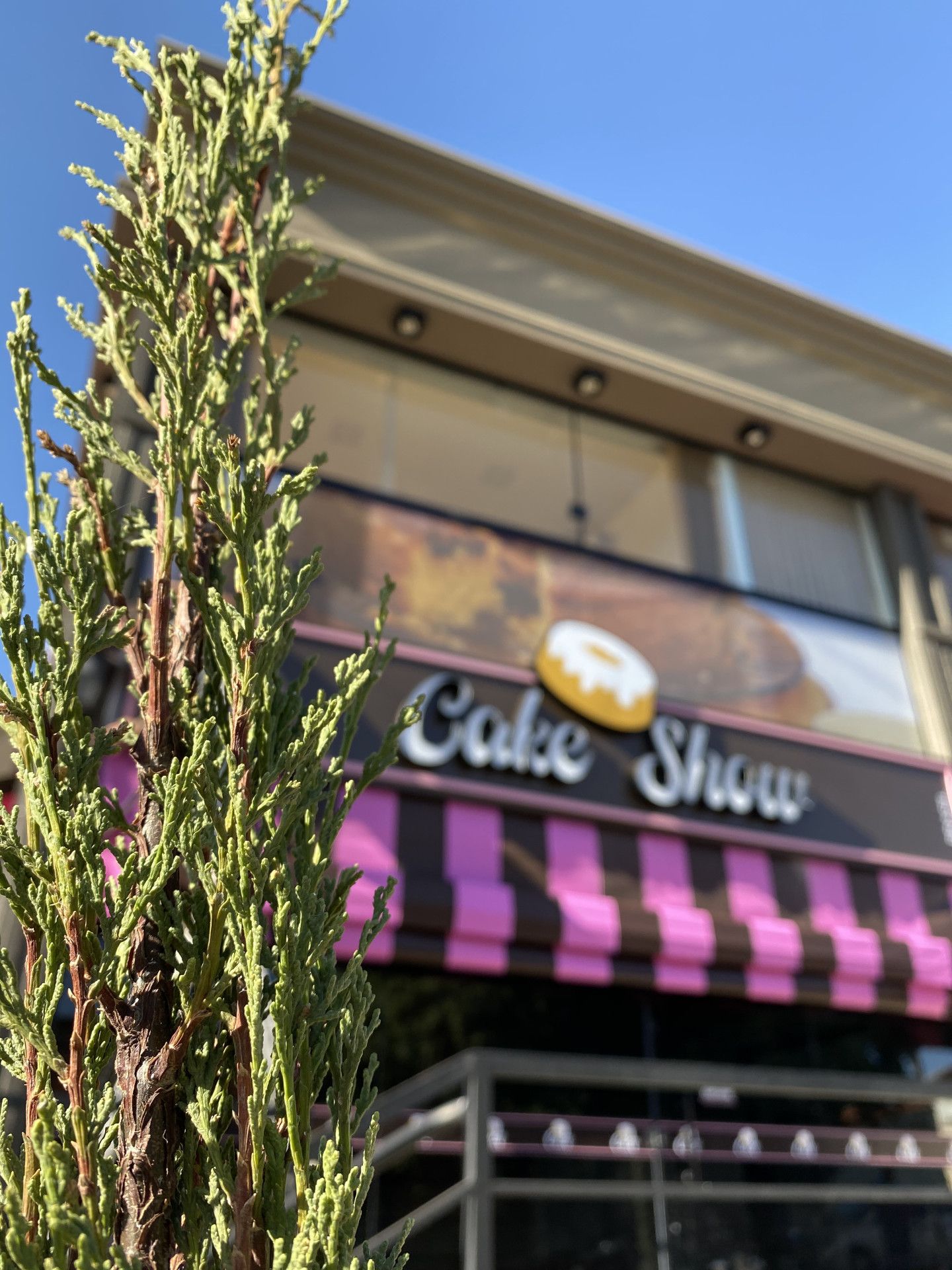 Franquia de bolos caseiros Cake Show - 3 - 0