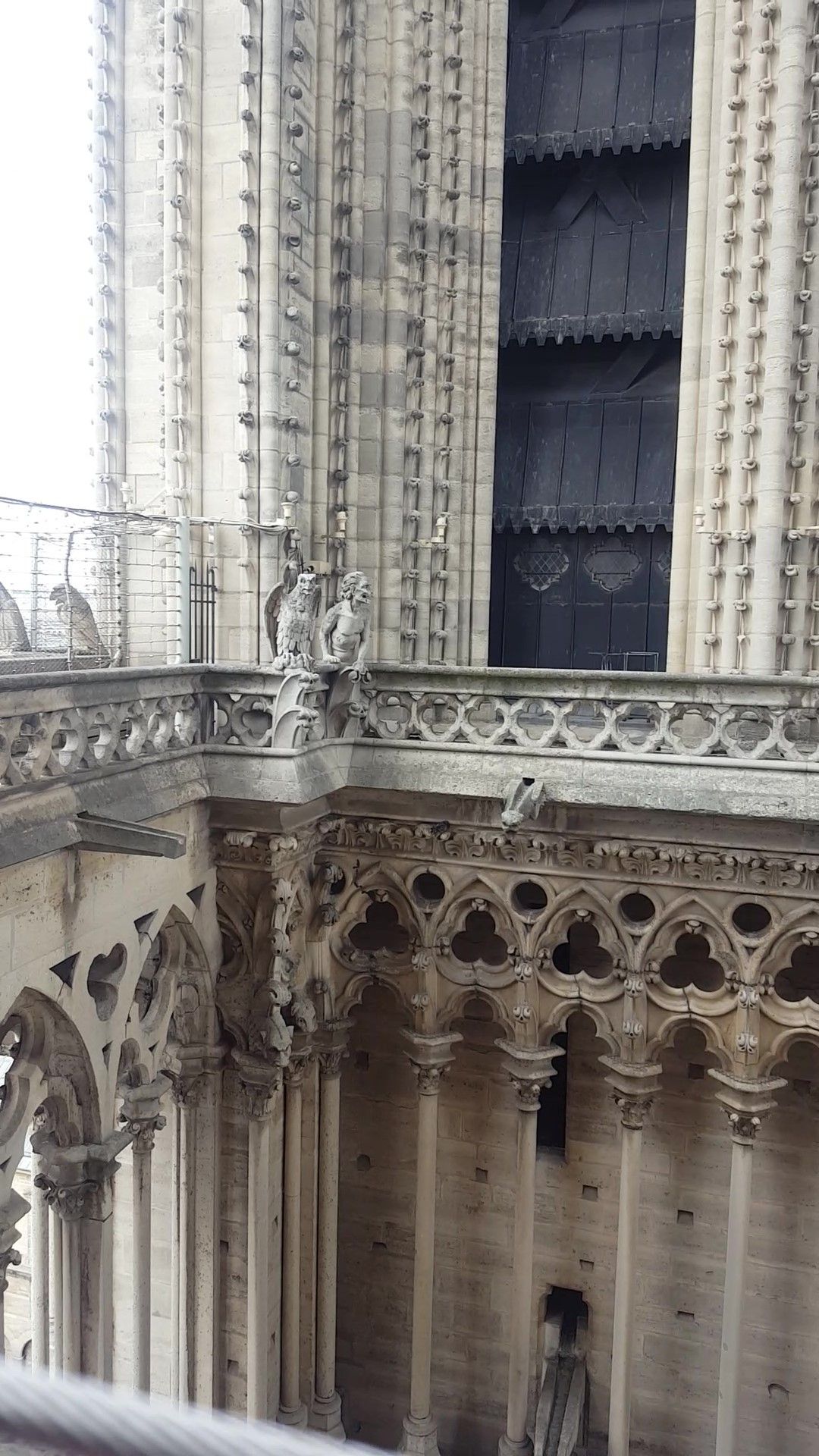 Paris com criança: um tour pelos cenários de famosos desenhos animados - 15 - 1