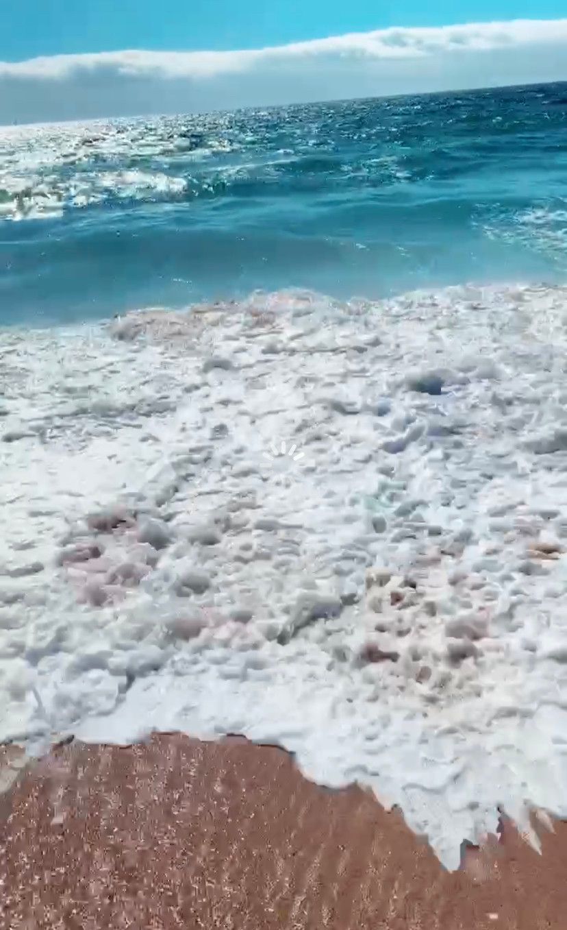 Vinã del Mar: bate-volta saindo de Santiago - 43 - 1