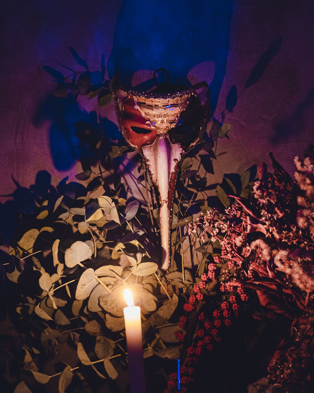 Vista de Rio Preto do Ap - 1 - 6