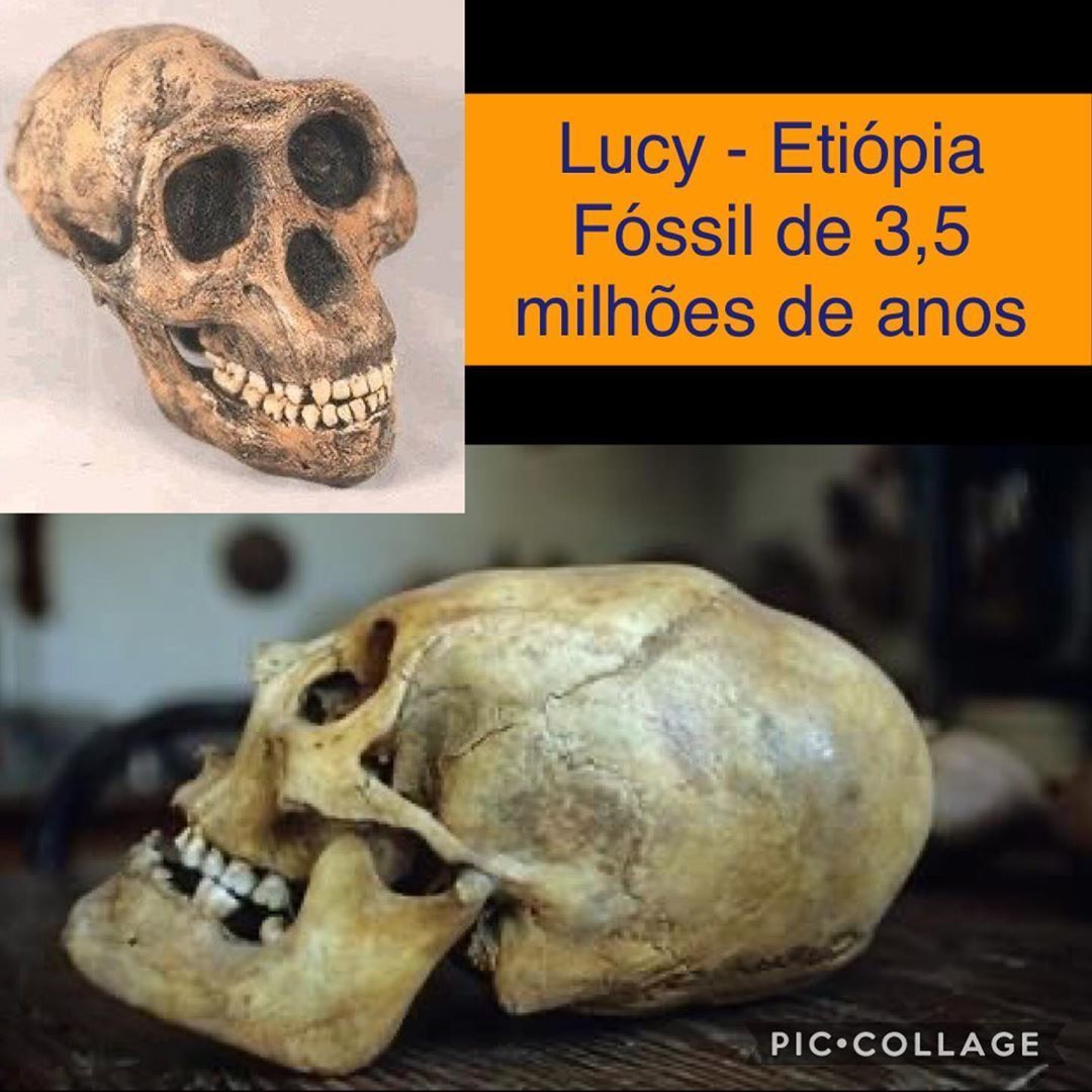 7 Arqueologia Funerária - Luzia primeira mulher do Brasil - 2