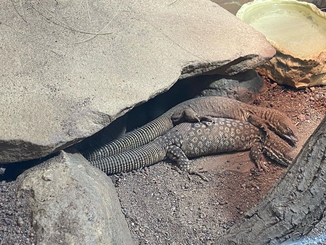 Tours September 2022 - 9 - 5