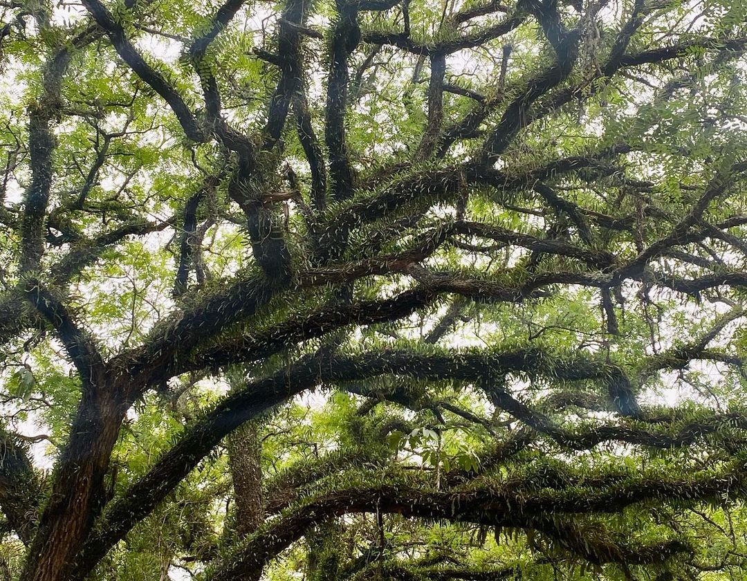 Tours October 2022 - 35 - 2