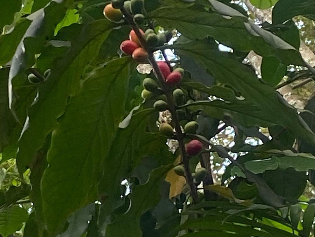 Tours March 2023 - 33 - 1