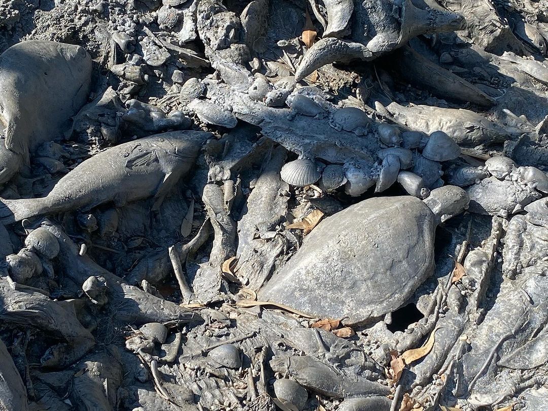 Tours July 2024 - 27 - 2