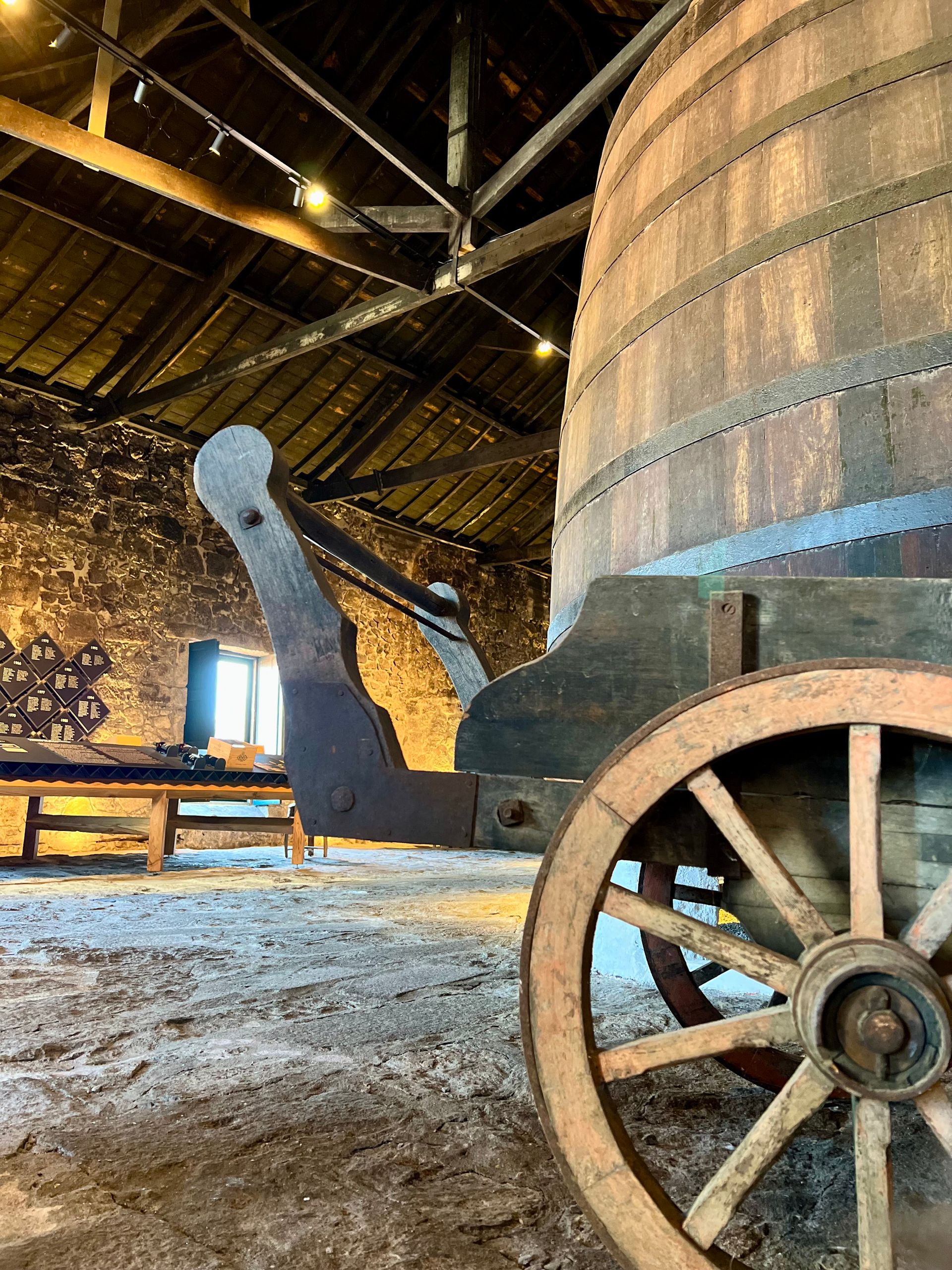 O Melhor do Porto. em um dia num passeio completo! - 10 - 3