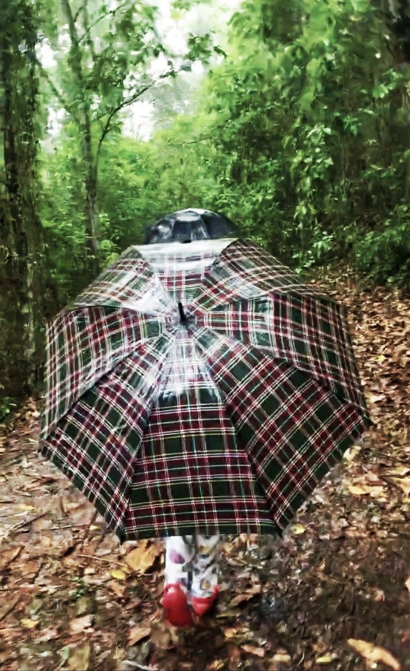 Como é visitar uma fazenda de cacau em Ilhéus: Fazenda Yrerê. - 11 - 0